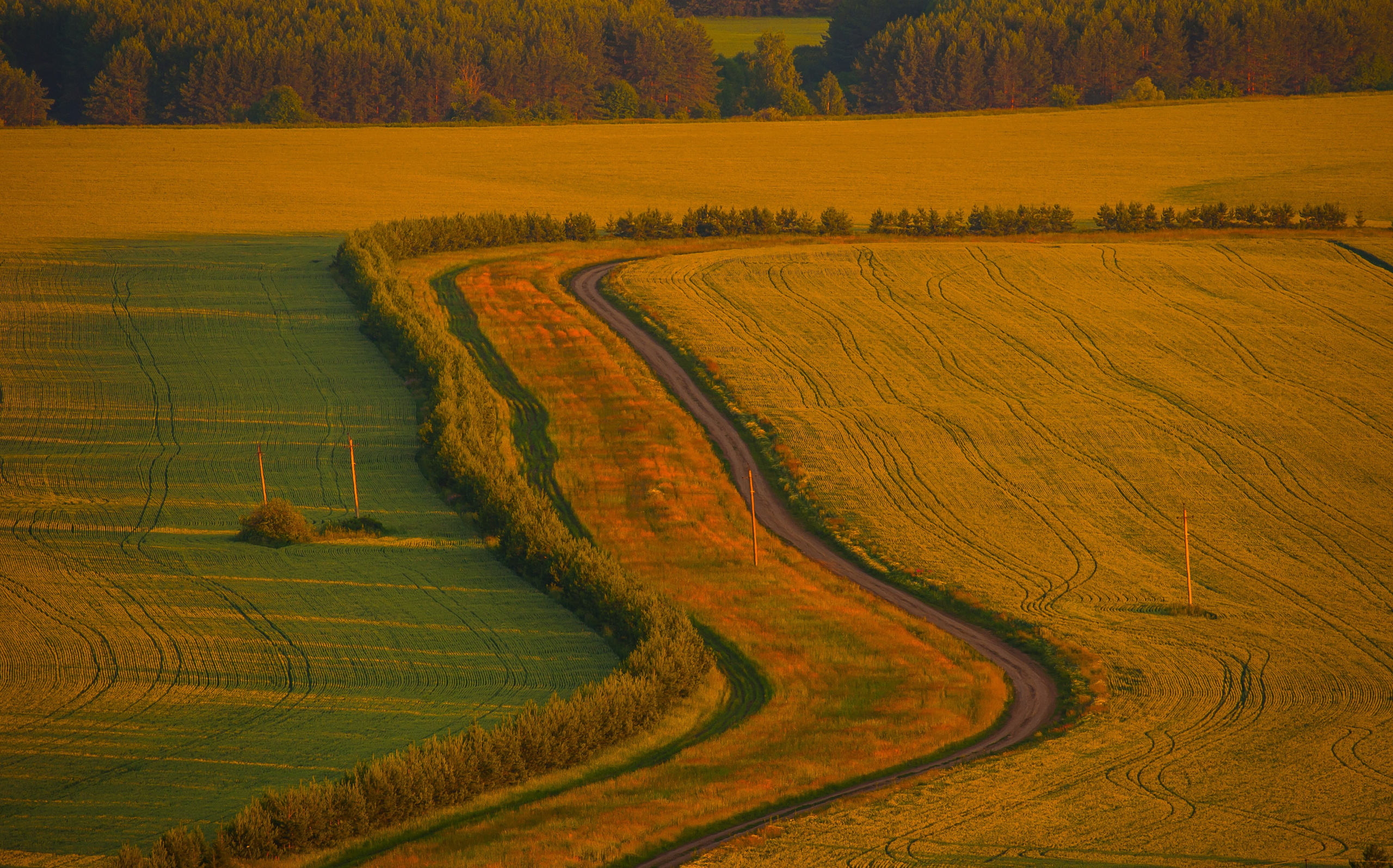 Аэросъемка. Репортажный фотограф в Ижевске Константин Ившин