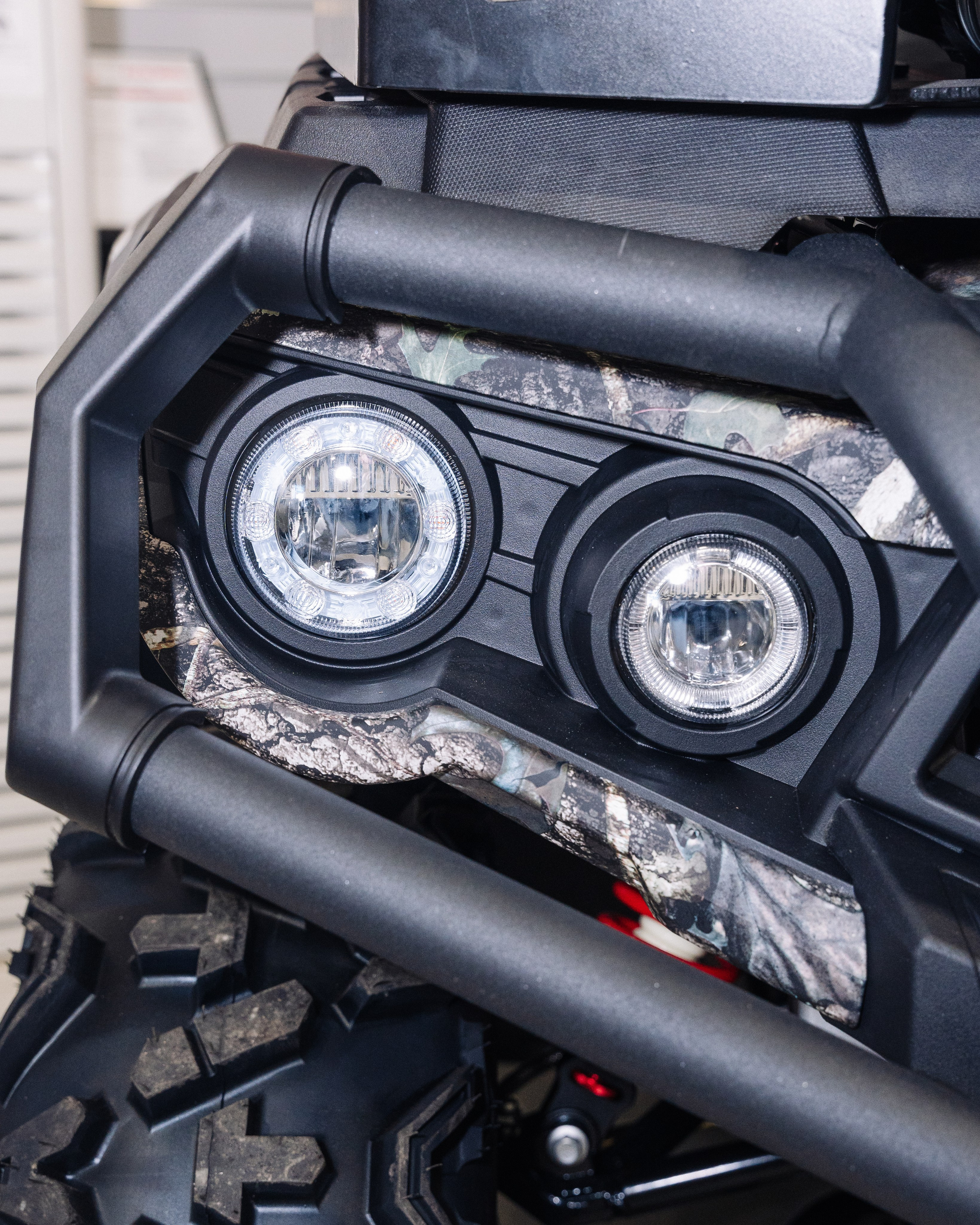 GLADIATOR. Фотограф Хабаровск