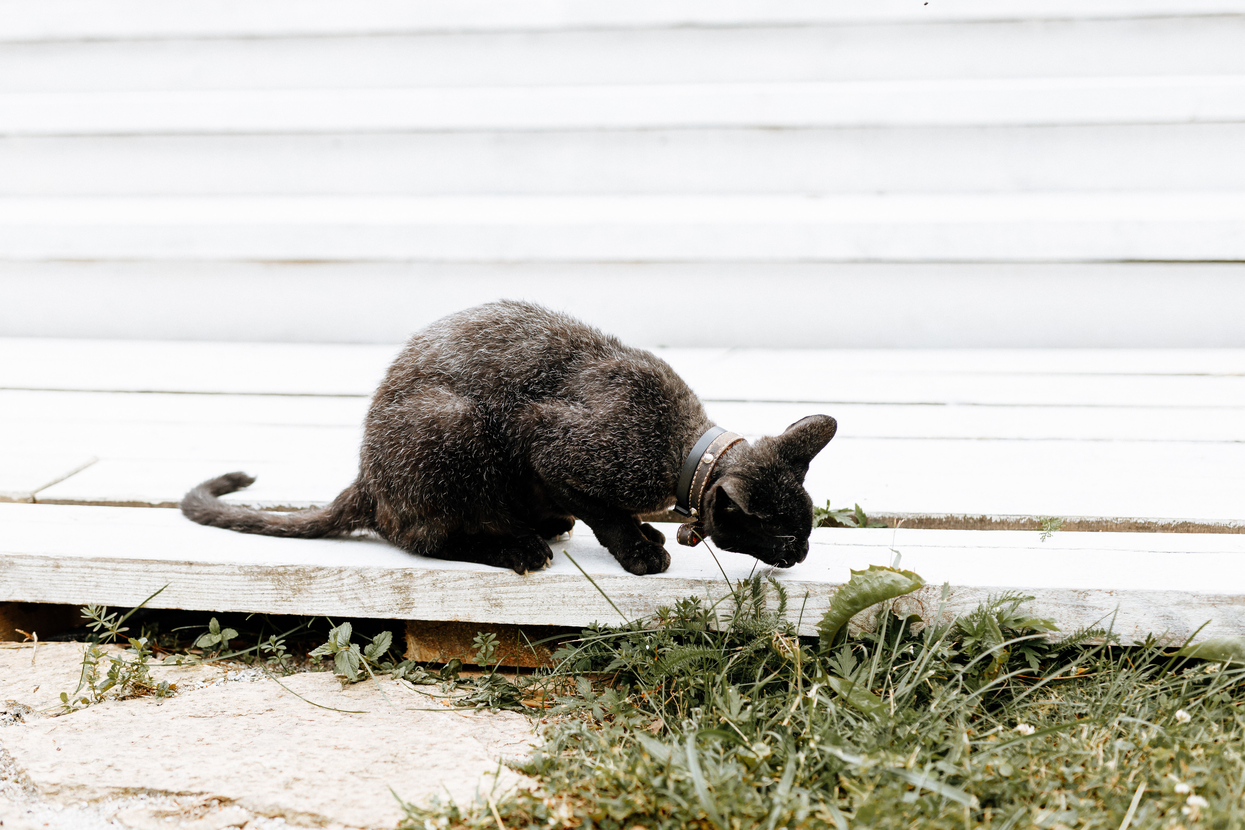 Валерия и Тимофей. Усадьба Масловых. Свадебный фотограф Балчугова Мария Екатеринбург