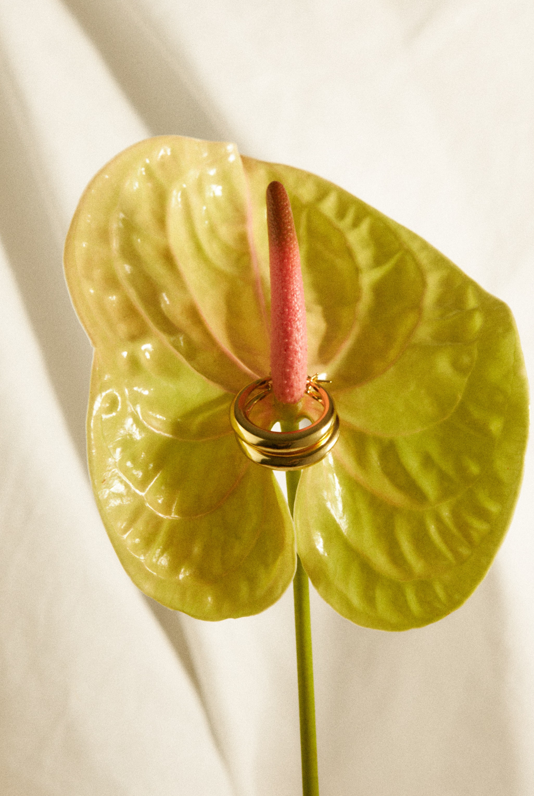 Rassvet Detail. Предметный фотограф Москва Глухарёва Оля