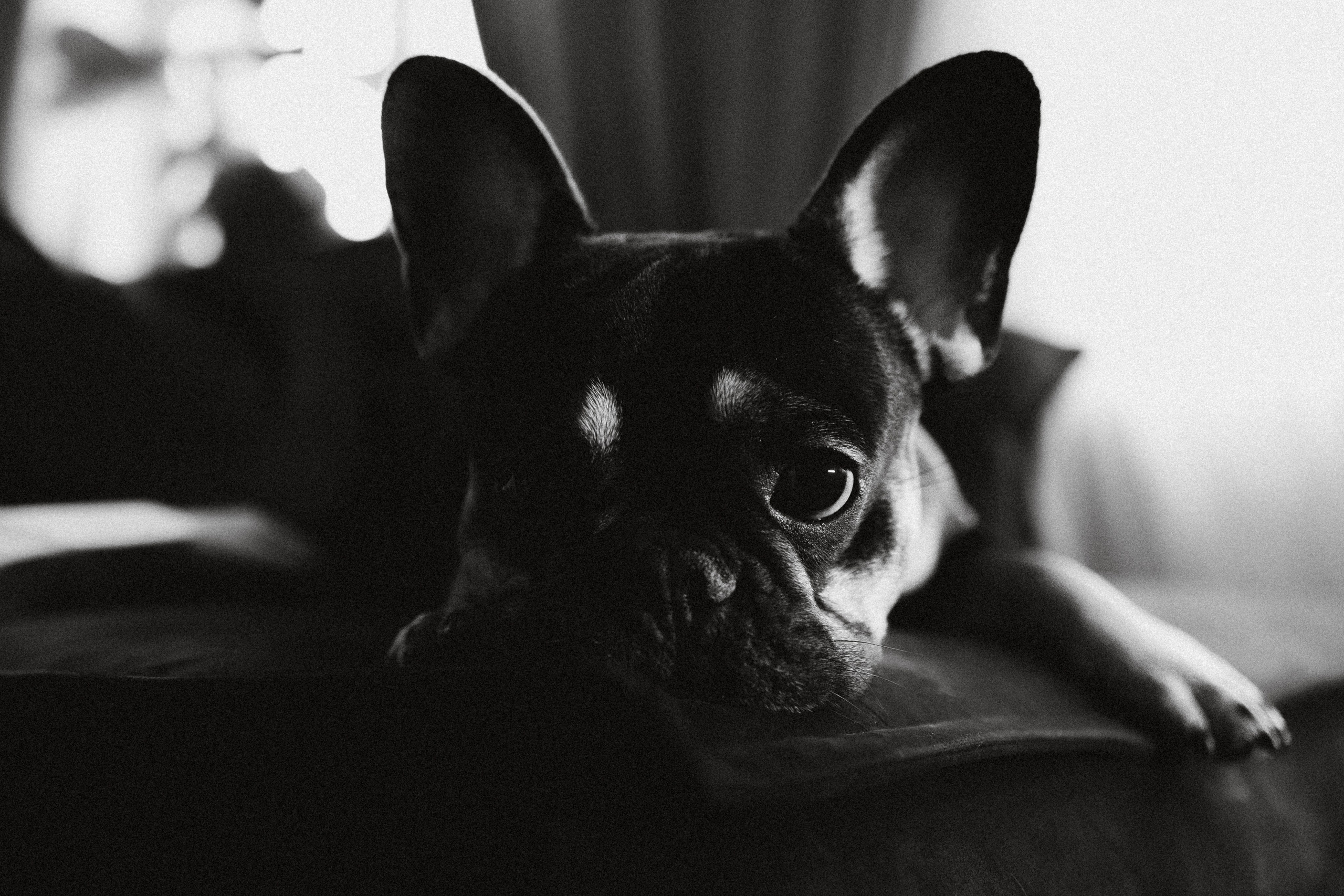 Юля, Мия и Зек