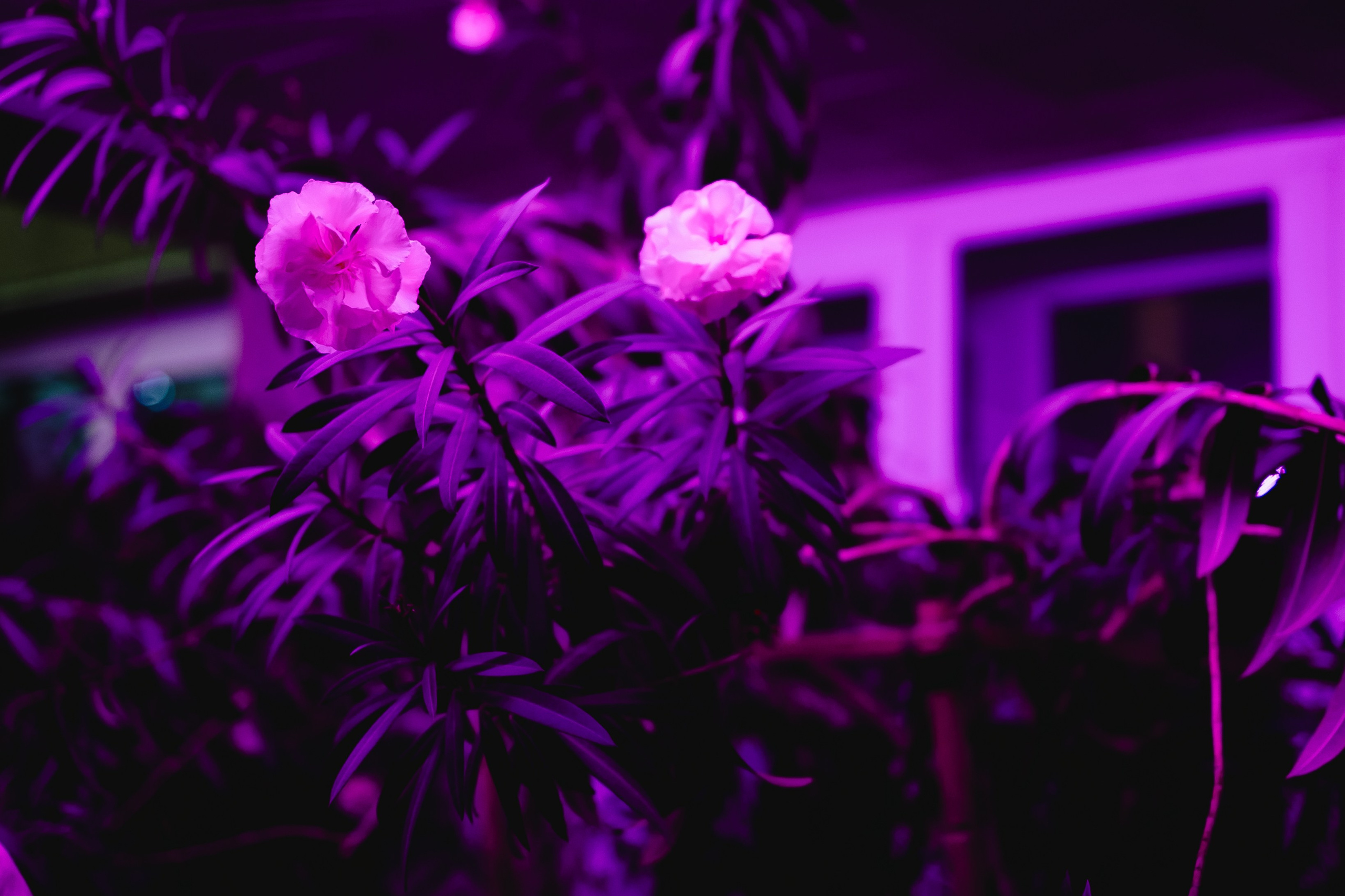 Мама года. Репортажный, портретный и свадебный фотограф в Магнитогорске Степан Самовиков