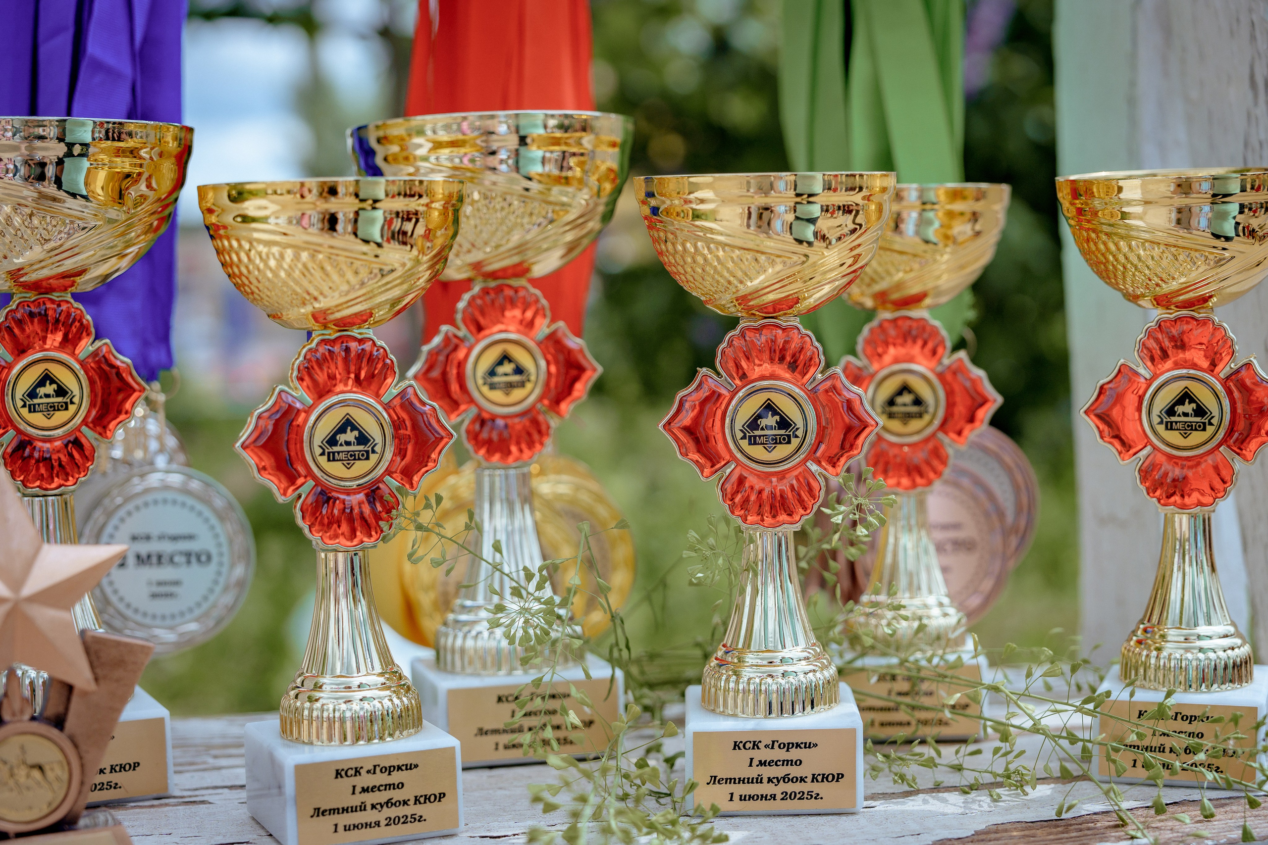 Конный клуб Горки. Портретный и семейный фотограф в Москве/Видное