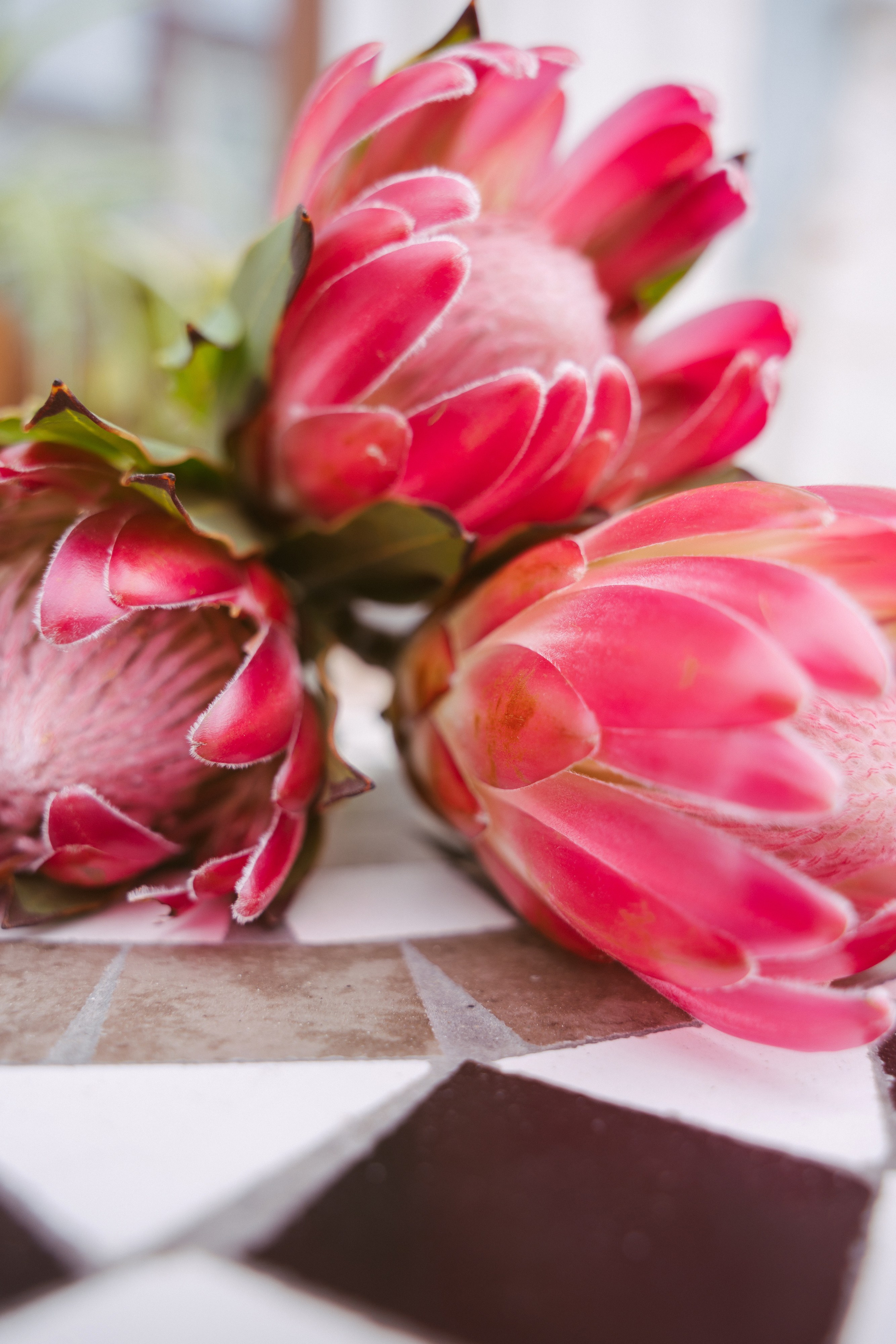 A&T. Свадебный, репортажный, семейный фотограф Елена Брюхова