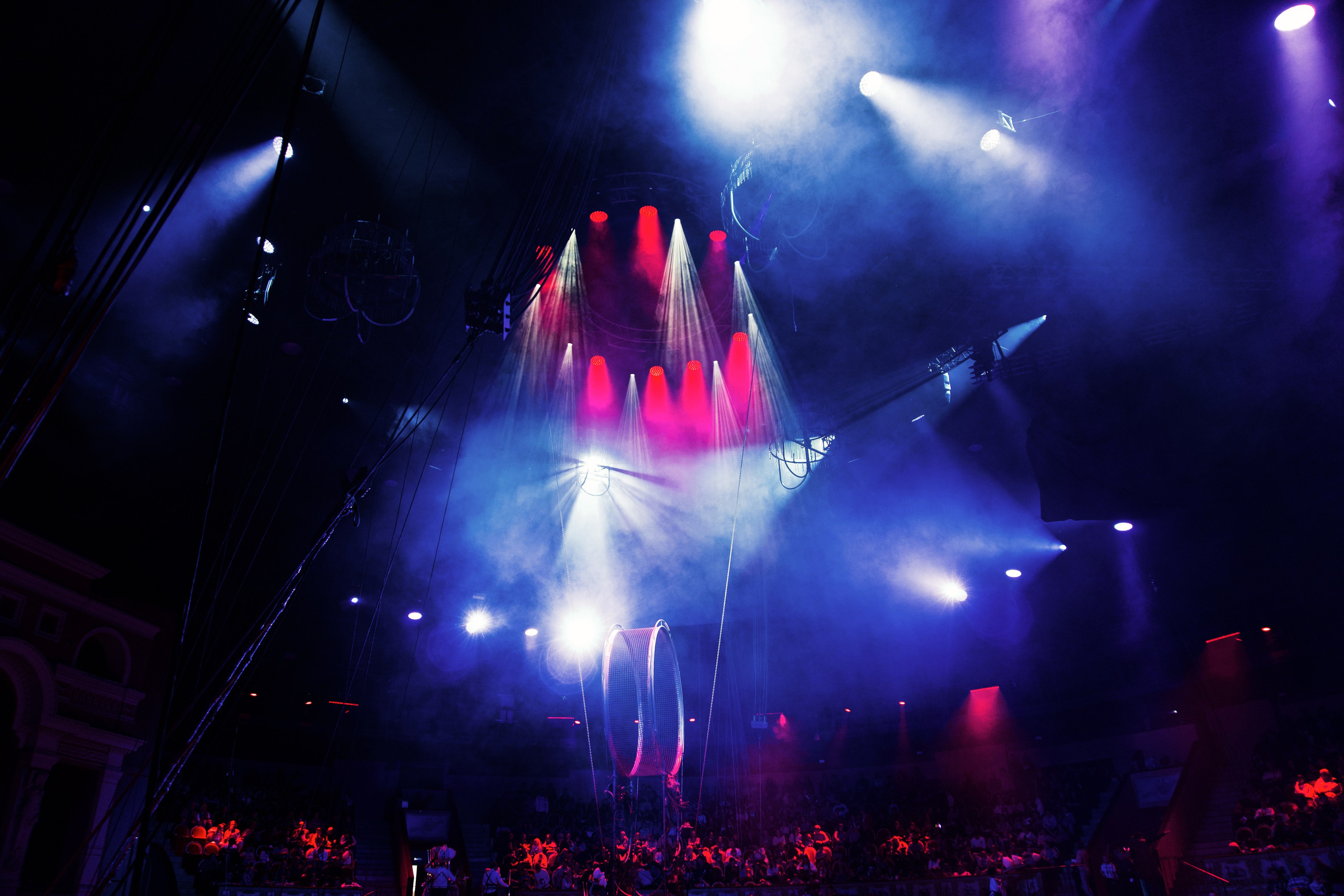 Цирк. Анна Жукова — Режиссёр кино и цирка, сценарист, фотограф