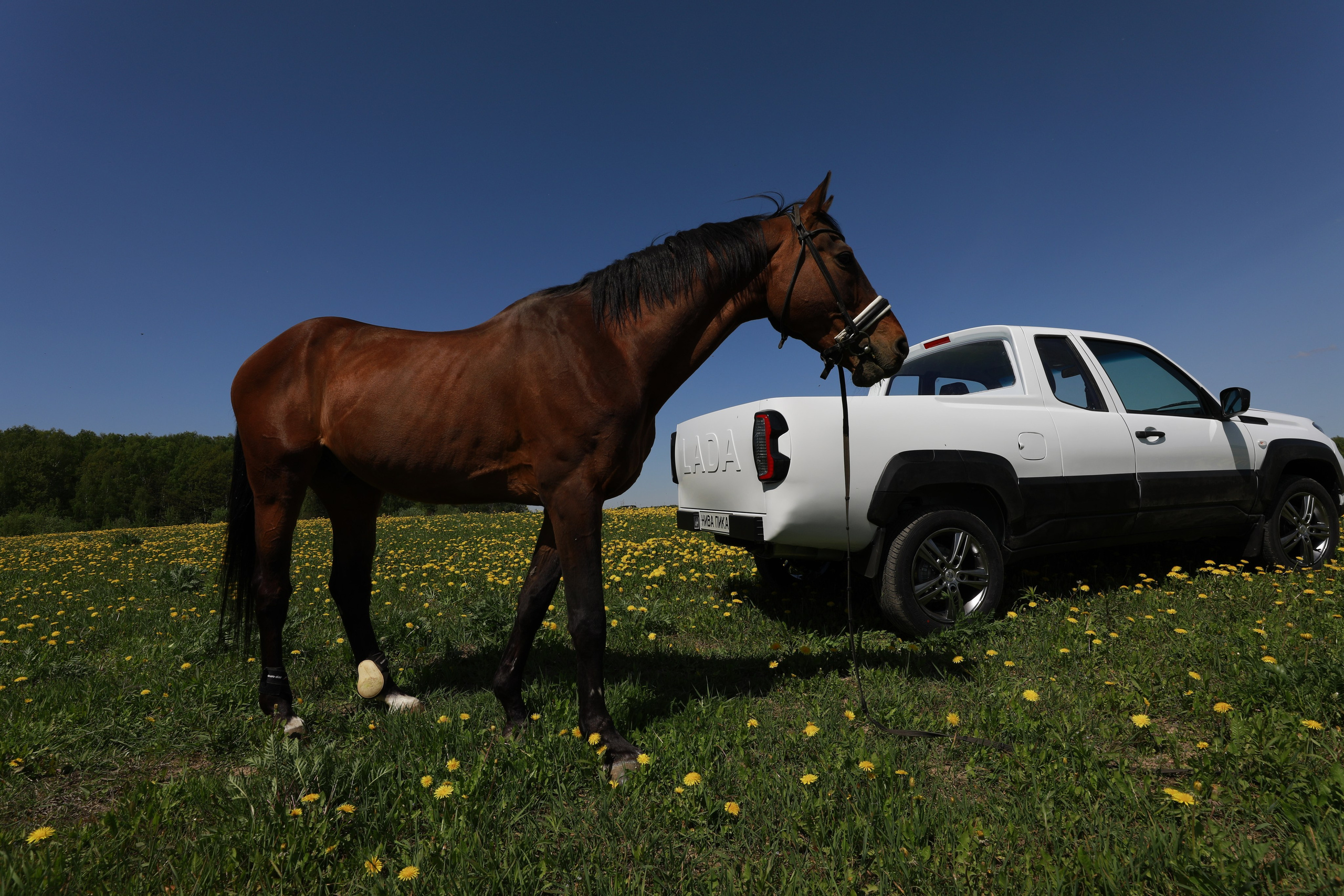 Прототипы транспортных средств. Алекс Ком. Автомобильный фотограф и детский писатель из Москвы