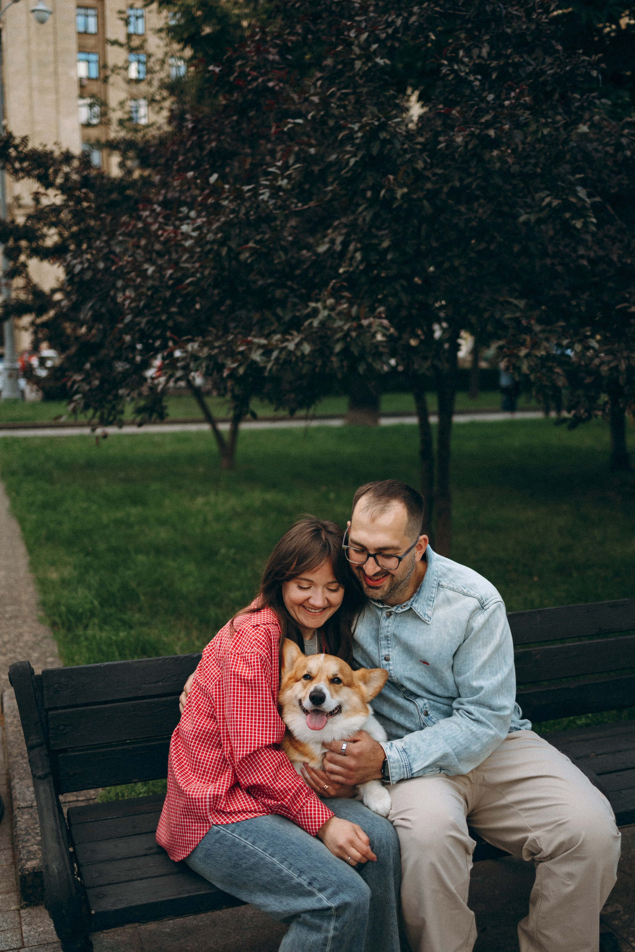 Момо, Люда и Эд. Фотограф анималист Анастасия Пикей
