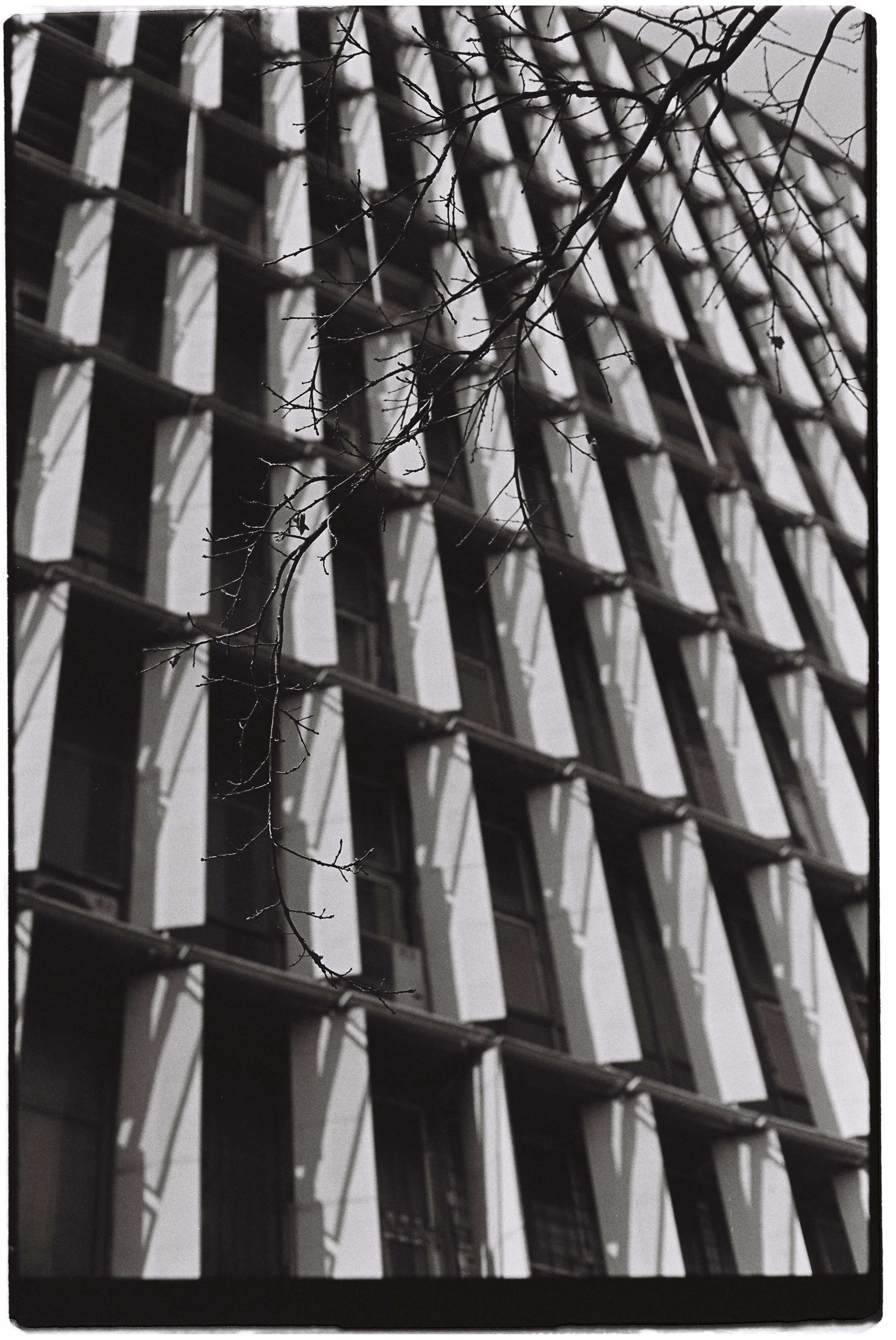 Almaty. Philipp Yelistratov