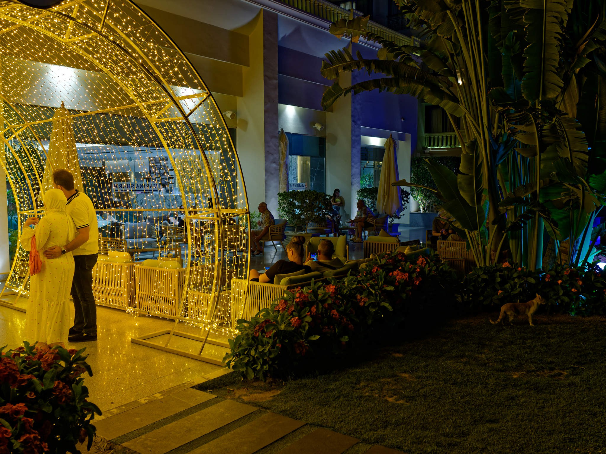 Шарм-эль-Шейх 2024. Избранные фотографии