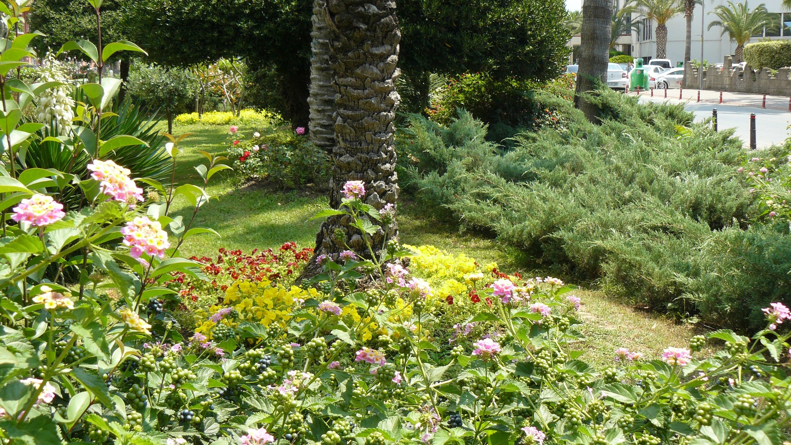 Алания 2015 порт и парк. Фотопрогулки по Миру