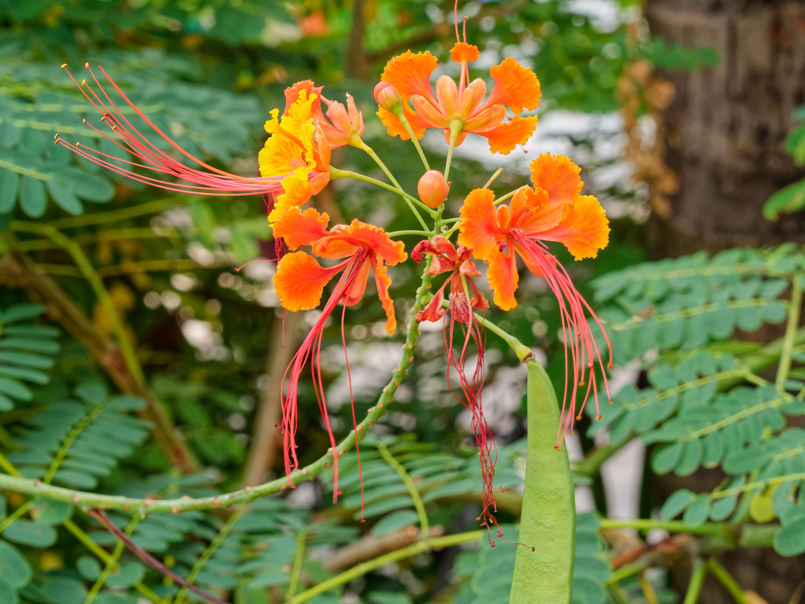Хайнань 2026, «Food Street» ночная улица еды в Ялунване. Фотопрогулки по Миру
