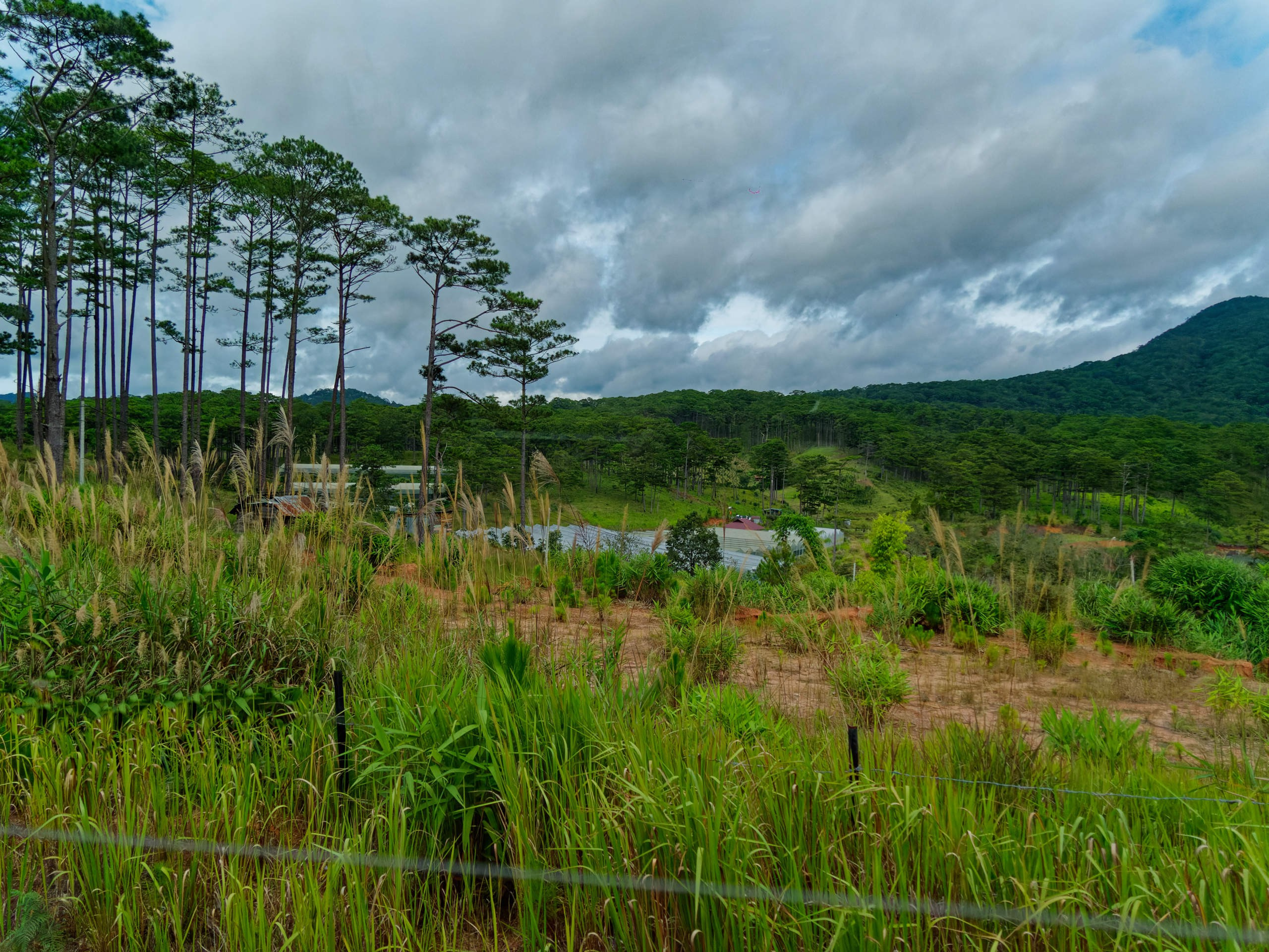 Далат 2023. Избранные фотографии