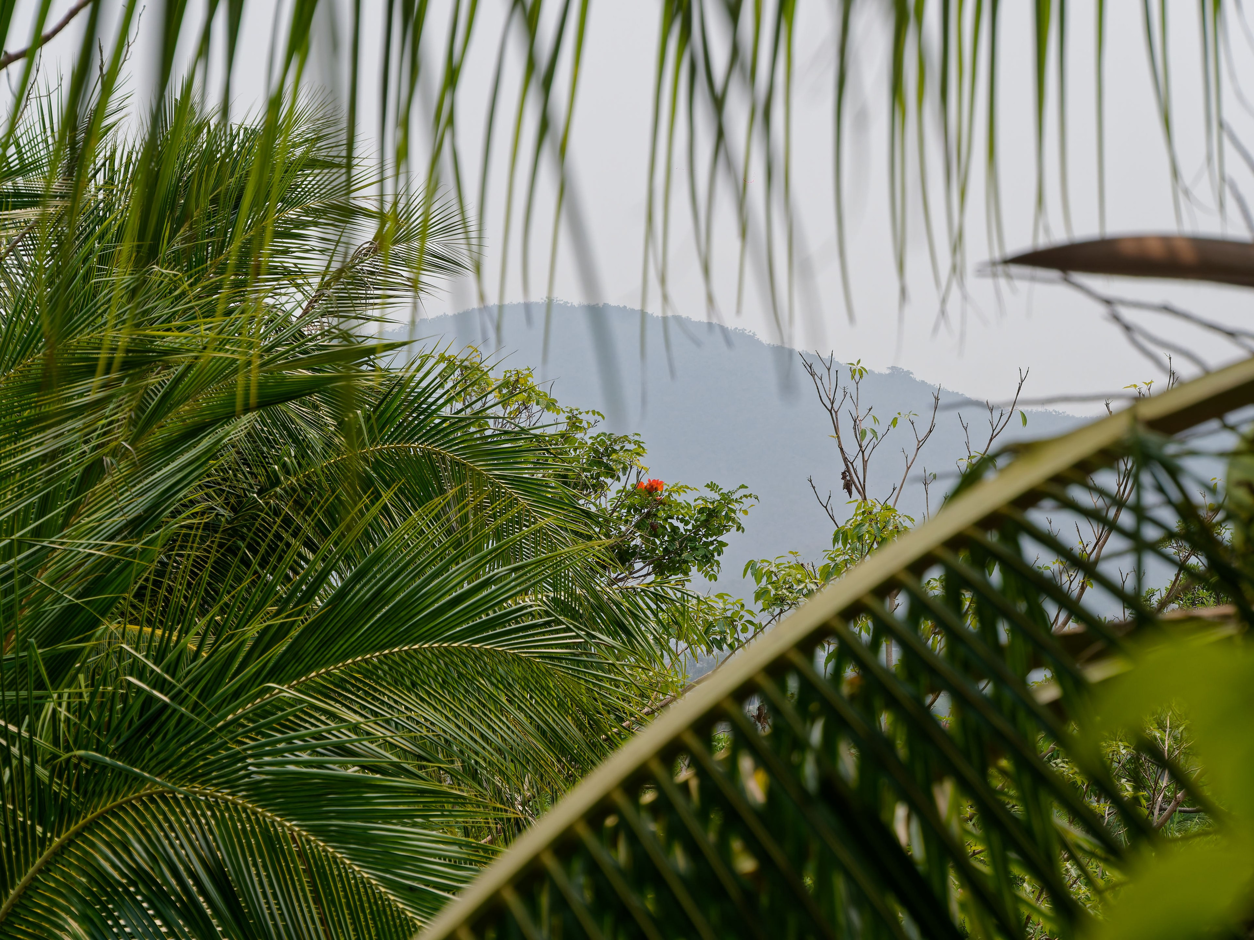 Хайнань 2026, первые впечатления. Фотопрогулки по Миру