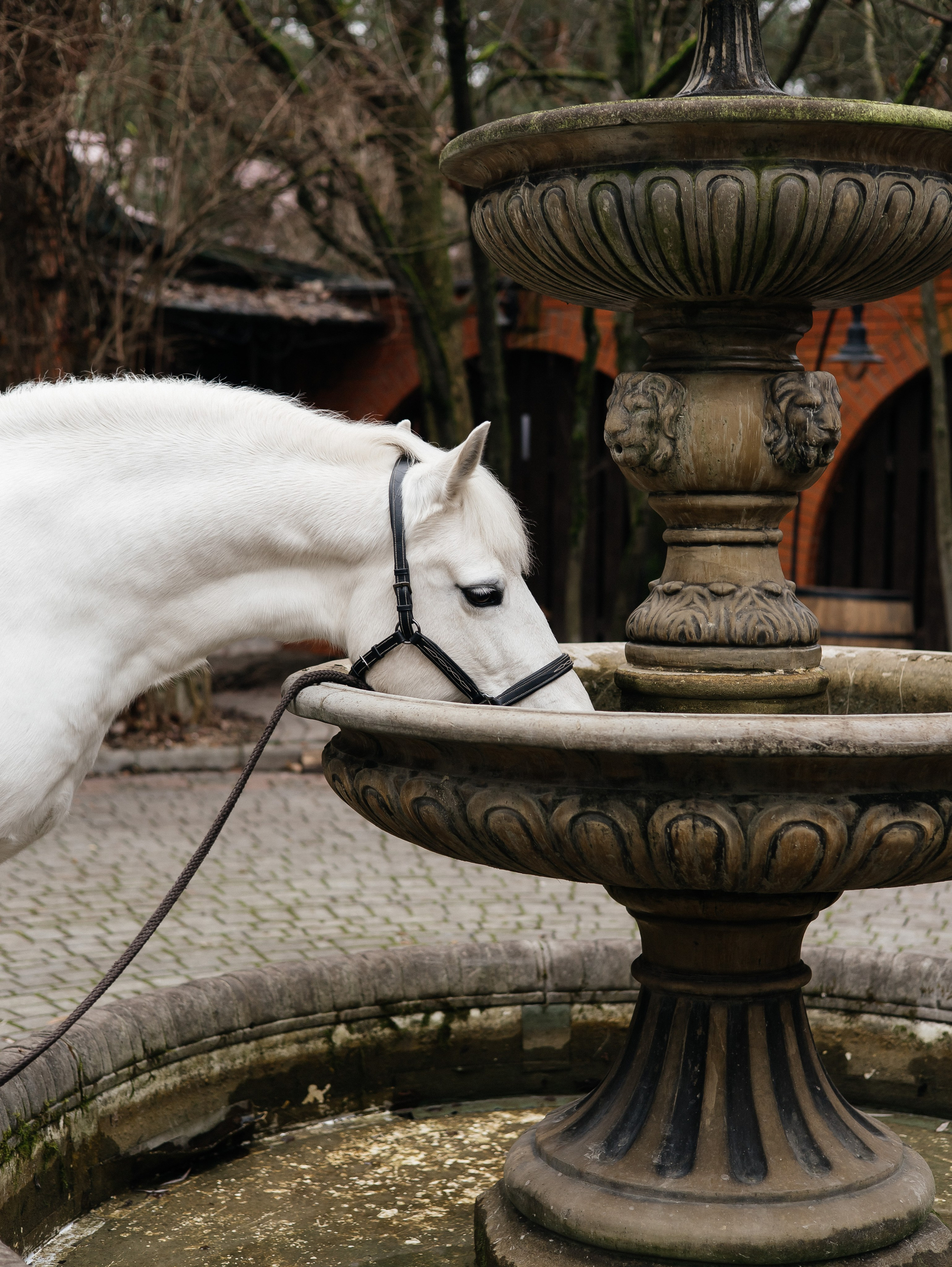 Ферма «Few Horses». Фотограф | портрет | бренды | репортаж