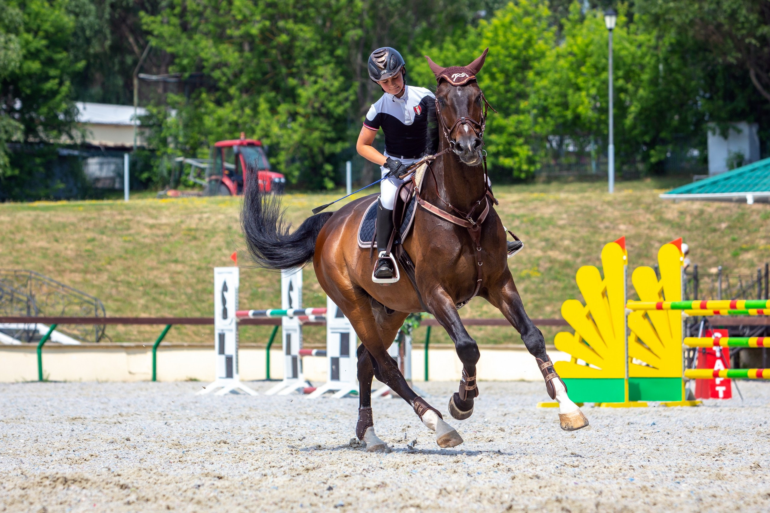 Соревнования на лошадях — галерея NATRIEL