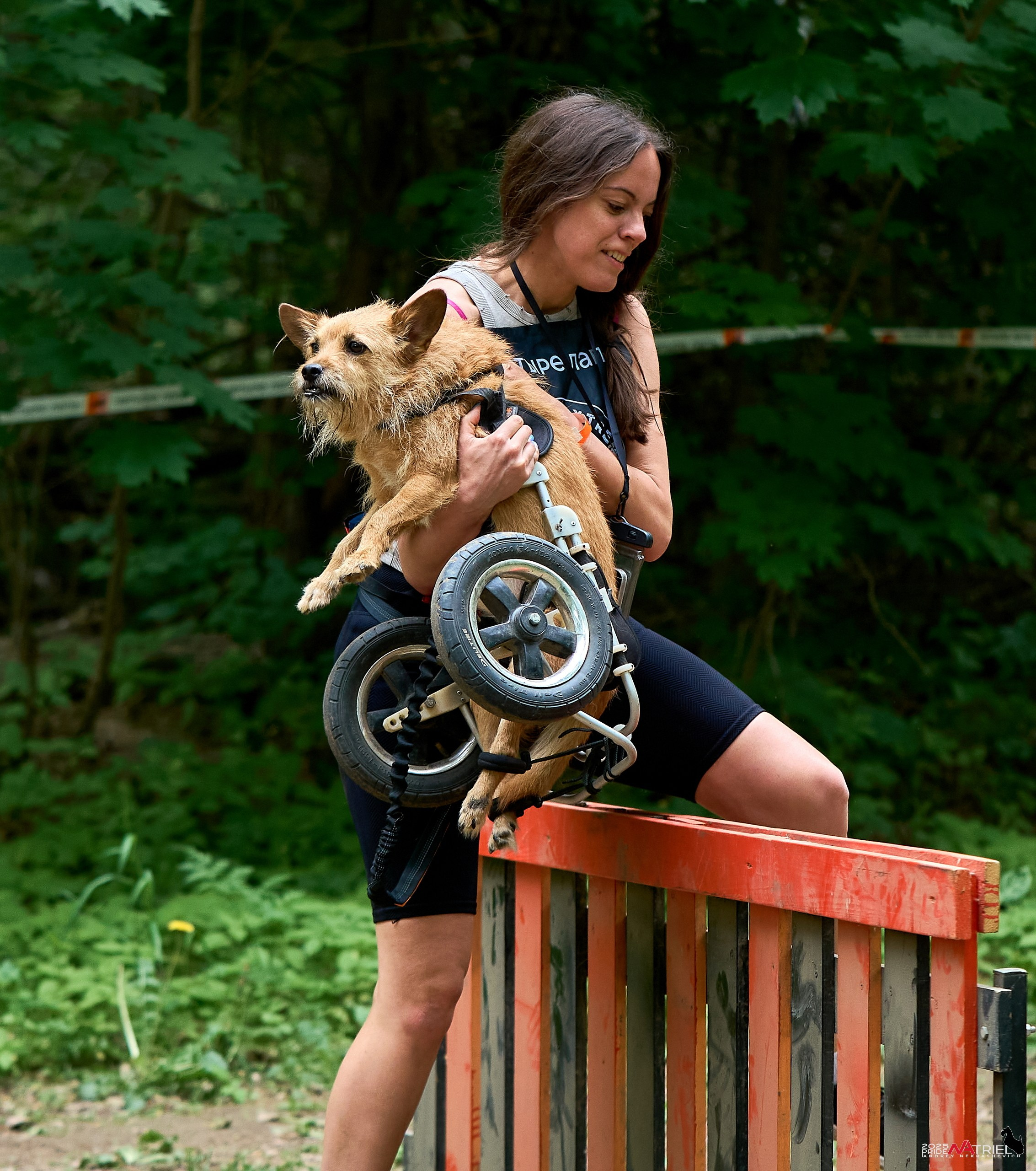 Russian Extreme Dog Trail — 2025