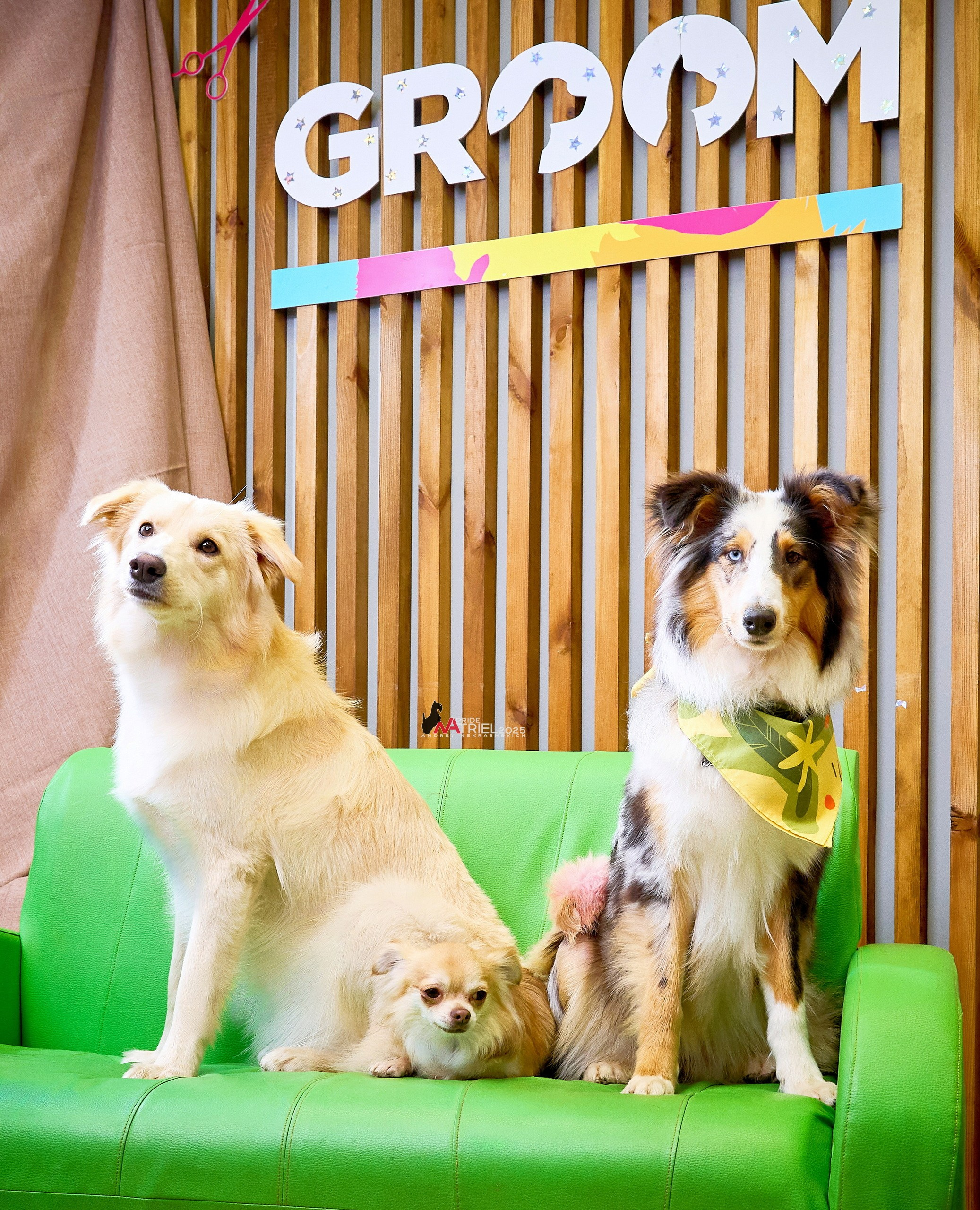 Репортаж GROOM с мобильным светом