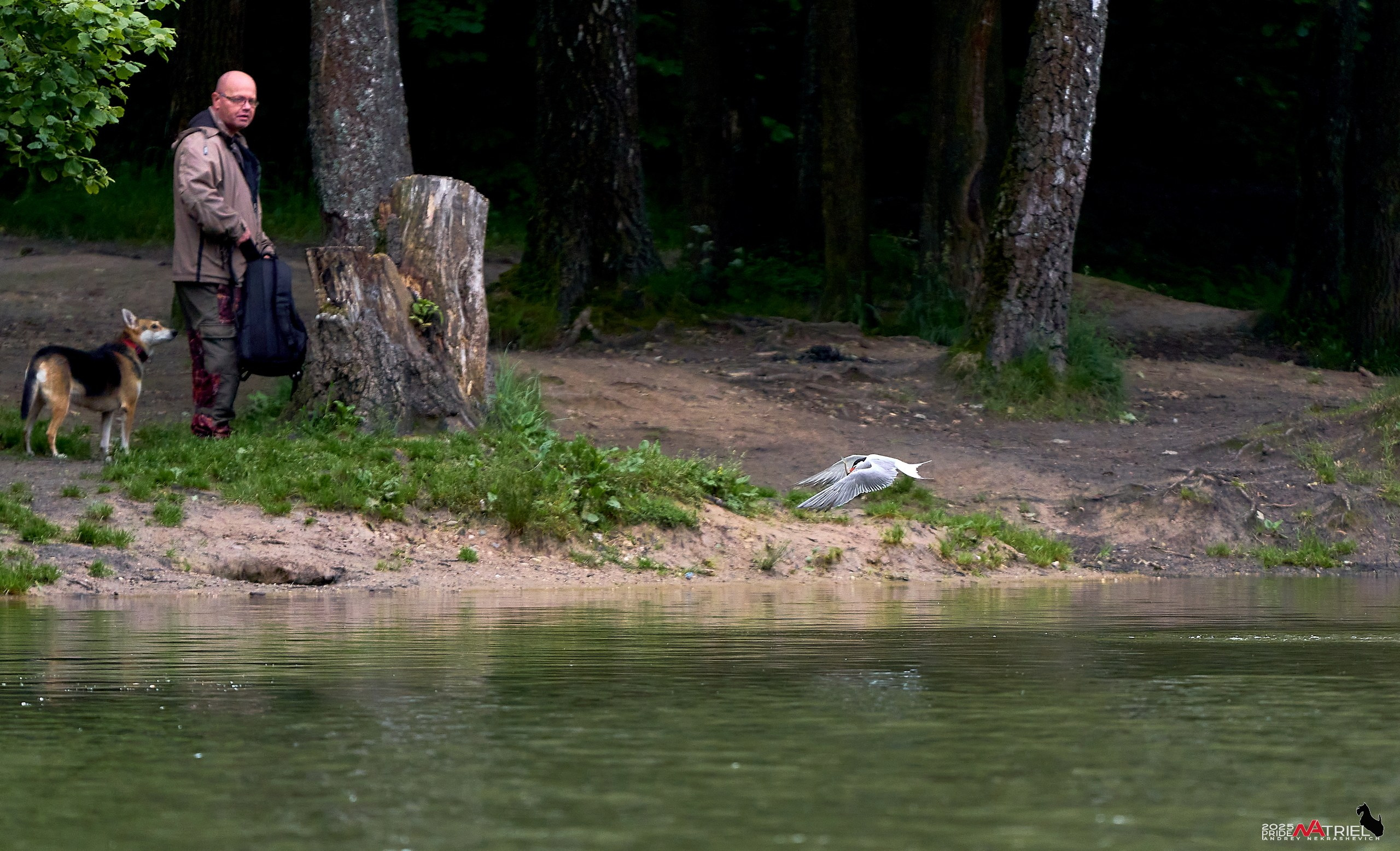 Съемка в парке на воде