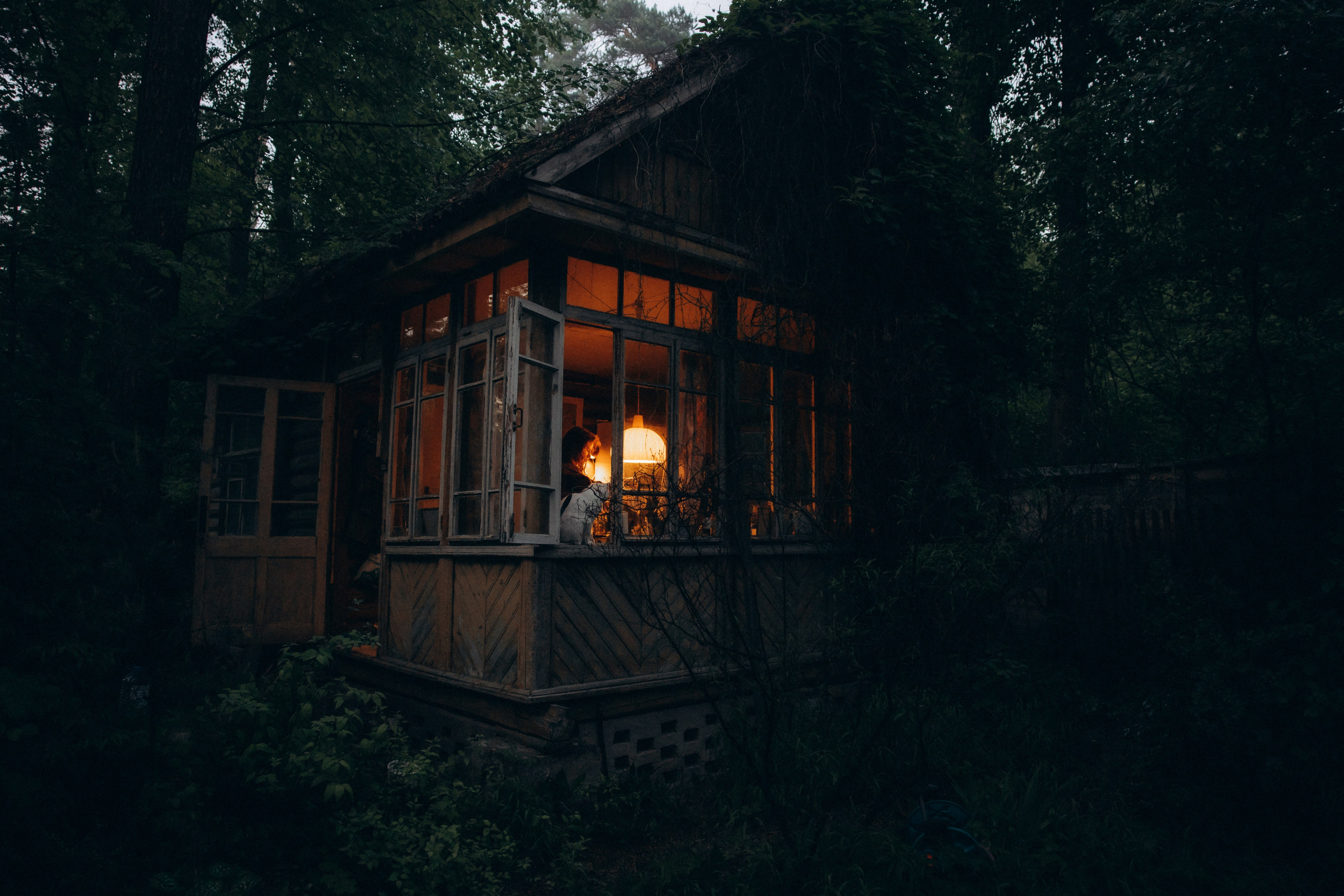 Настасья и кот Шалфей. Фотограф анималист в Казани Алина Сулейманова. Фотограф животных