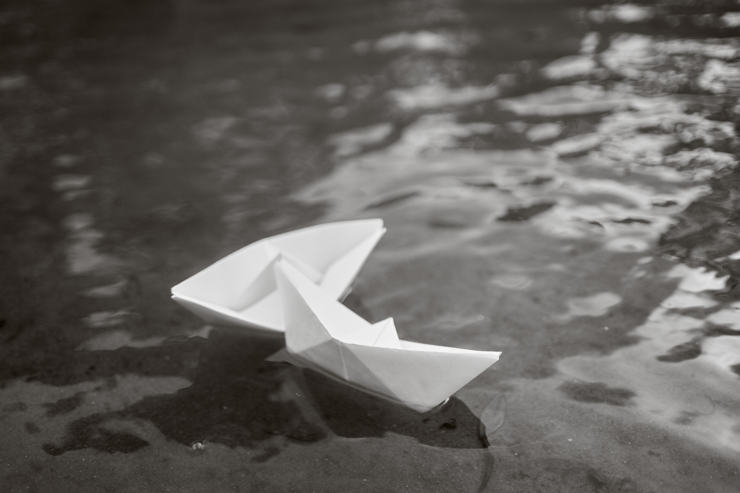 Печенье в песке. Фотограф анималист Москва Дарья