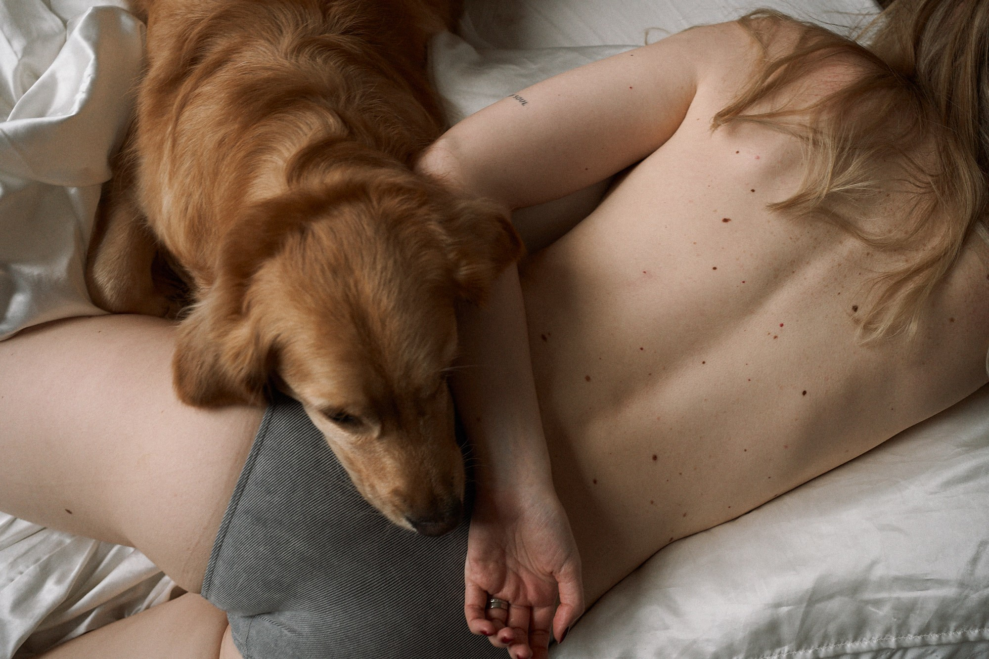 Алия и Пенни. Фотограф анималист Москва Дарья