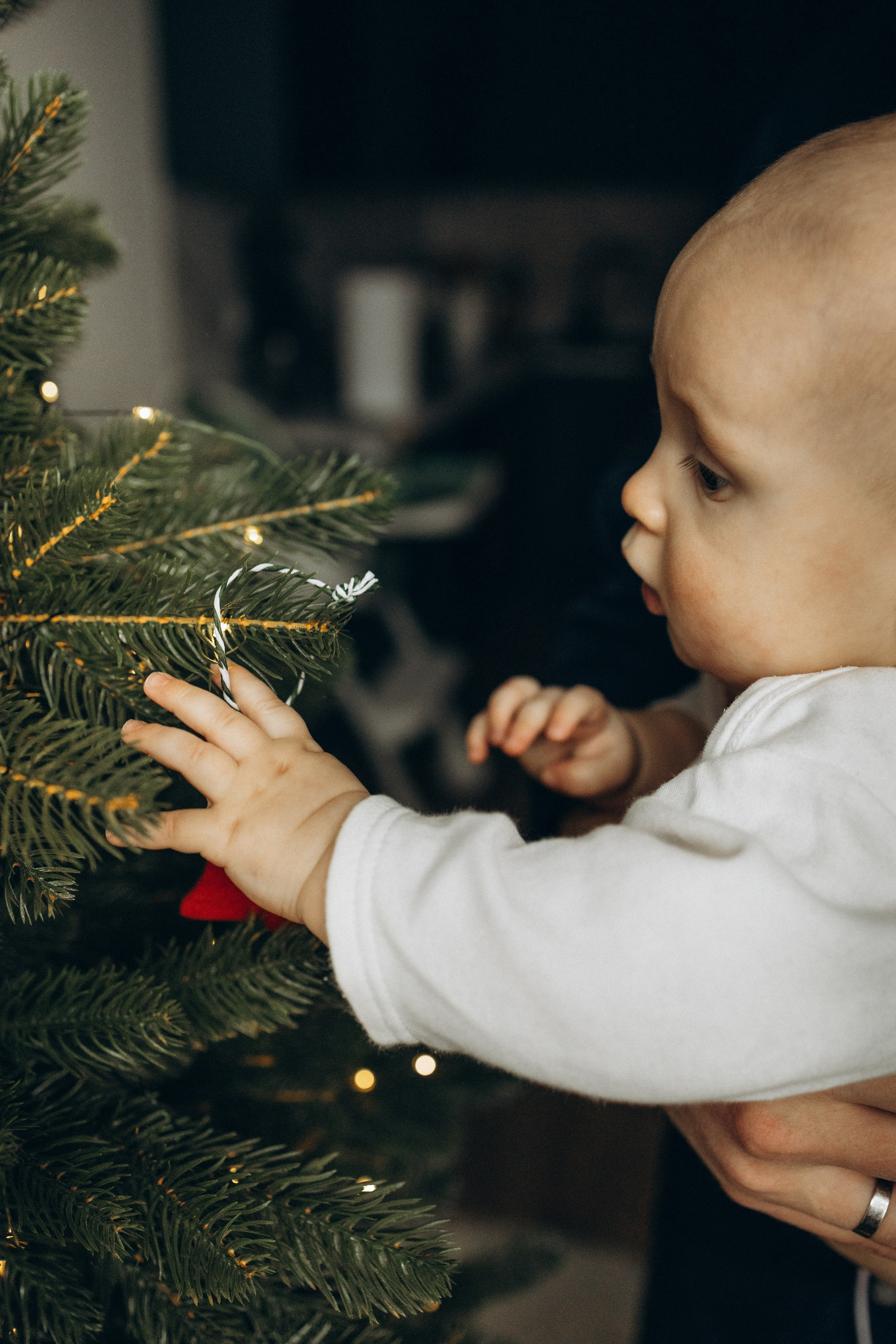 Первый Новый год Андрюши. Фотограф lifestylе в Москве Пшеничная Анастасия