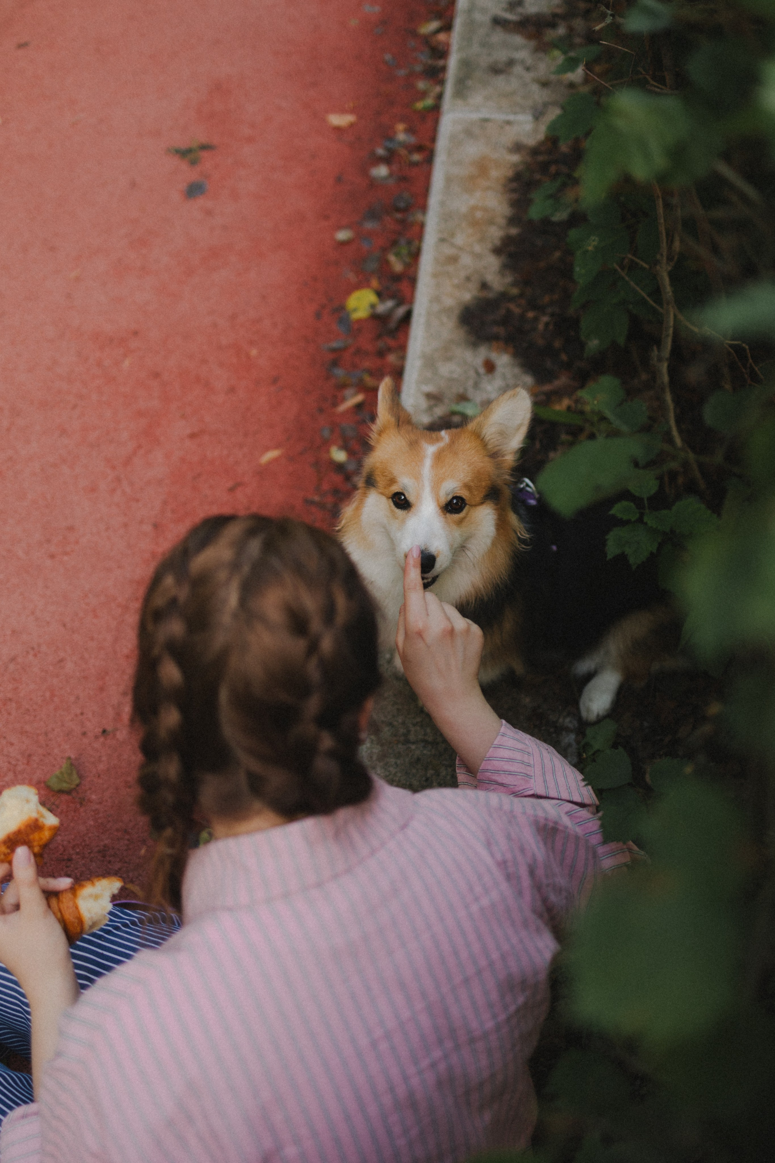 Мишель и Влада. Фотораф — анималист Мария Шистка