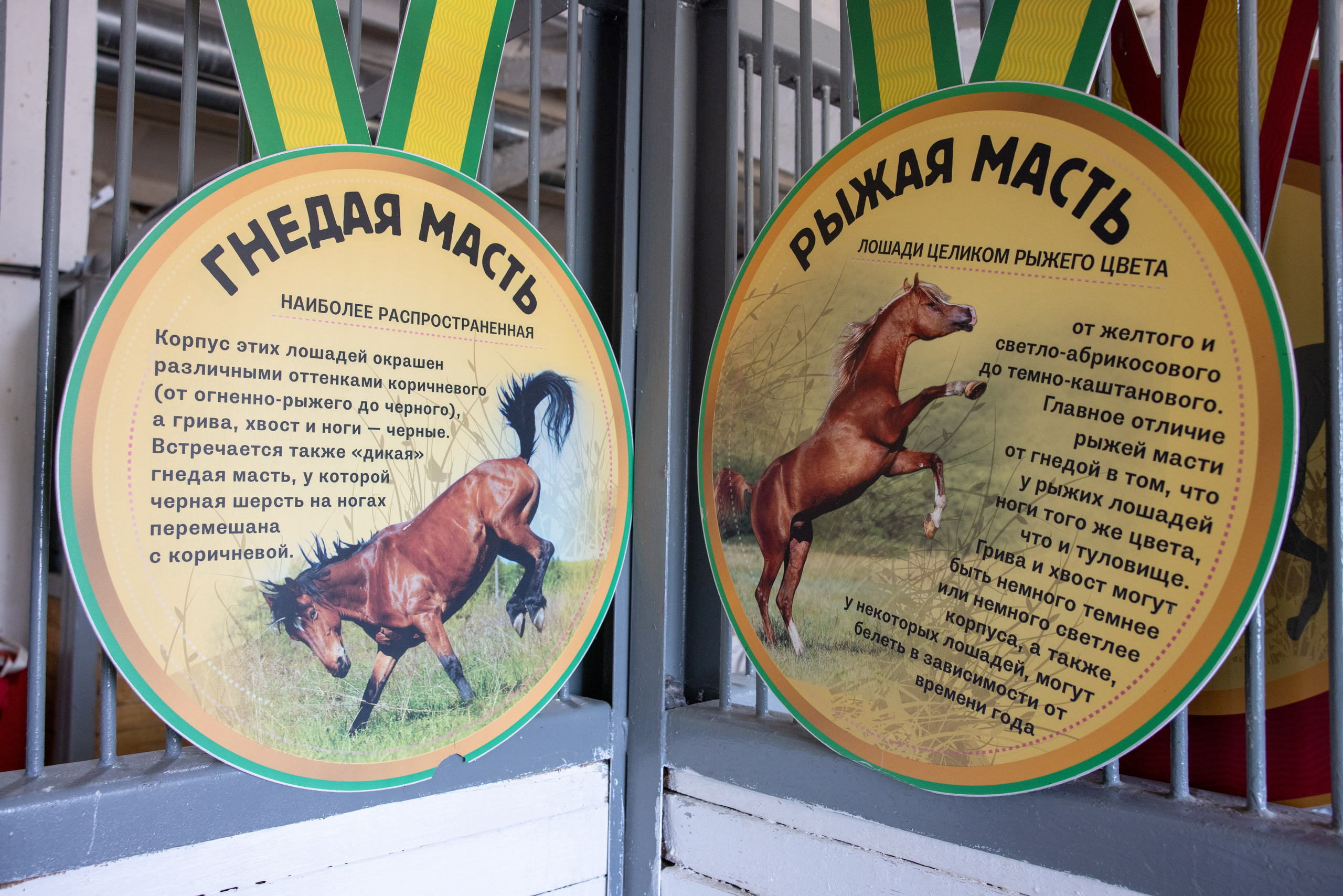 Поездка на поле Кулеково. Фотограф в Туле Крупский АнДРей. Фотостудия «КАДР71» в Туле