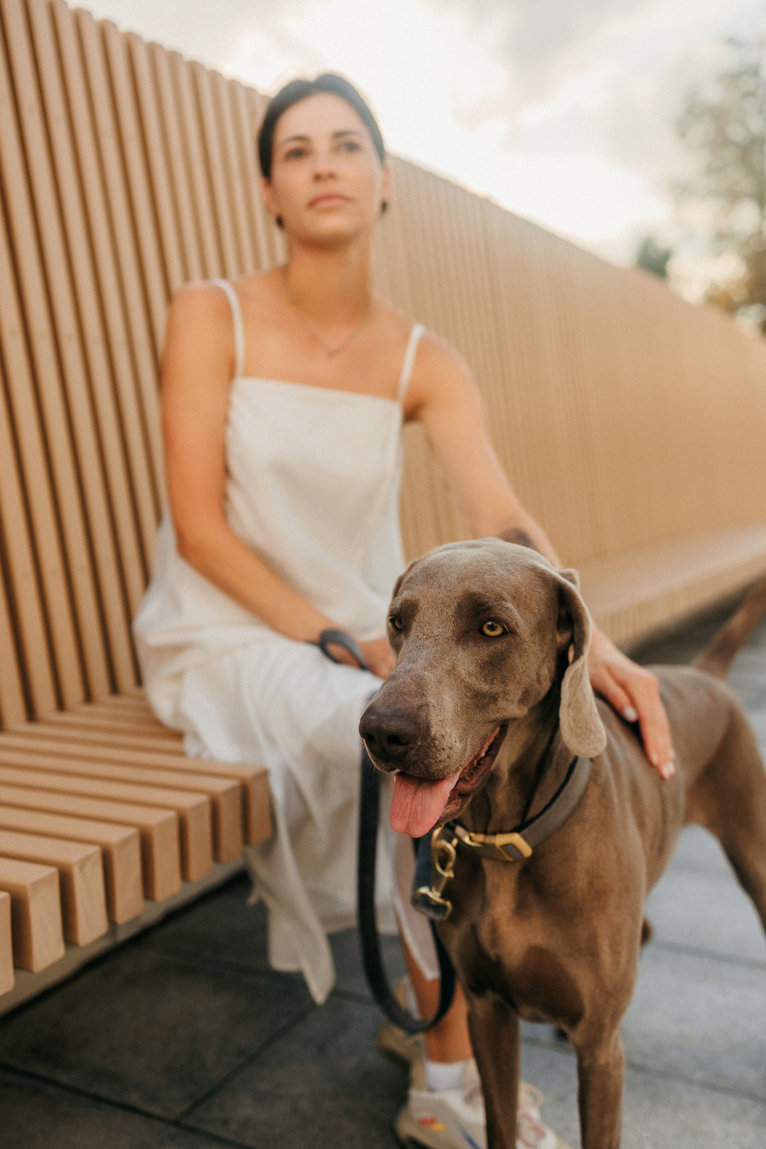 Соня и Майли. Фотограф-анималист Елена Радченко, Москва