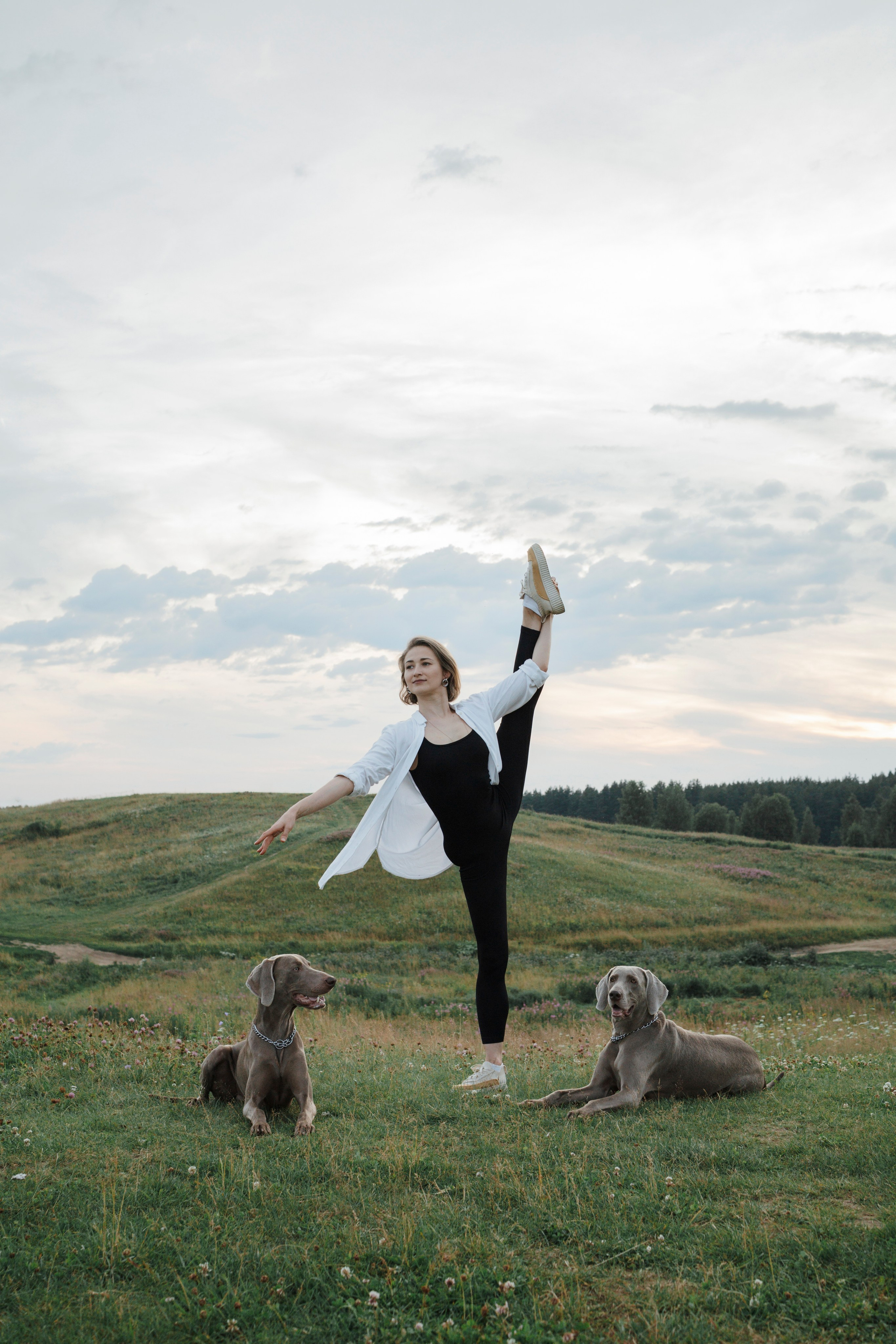 Маргарита и веймаранеры. Фотограф-анималист в Санкт-Петеребурге Титова Алиса