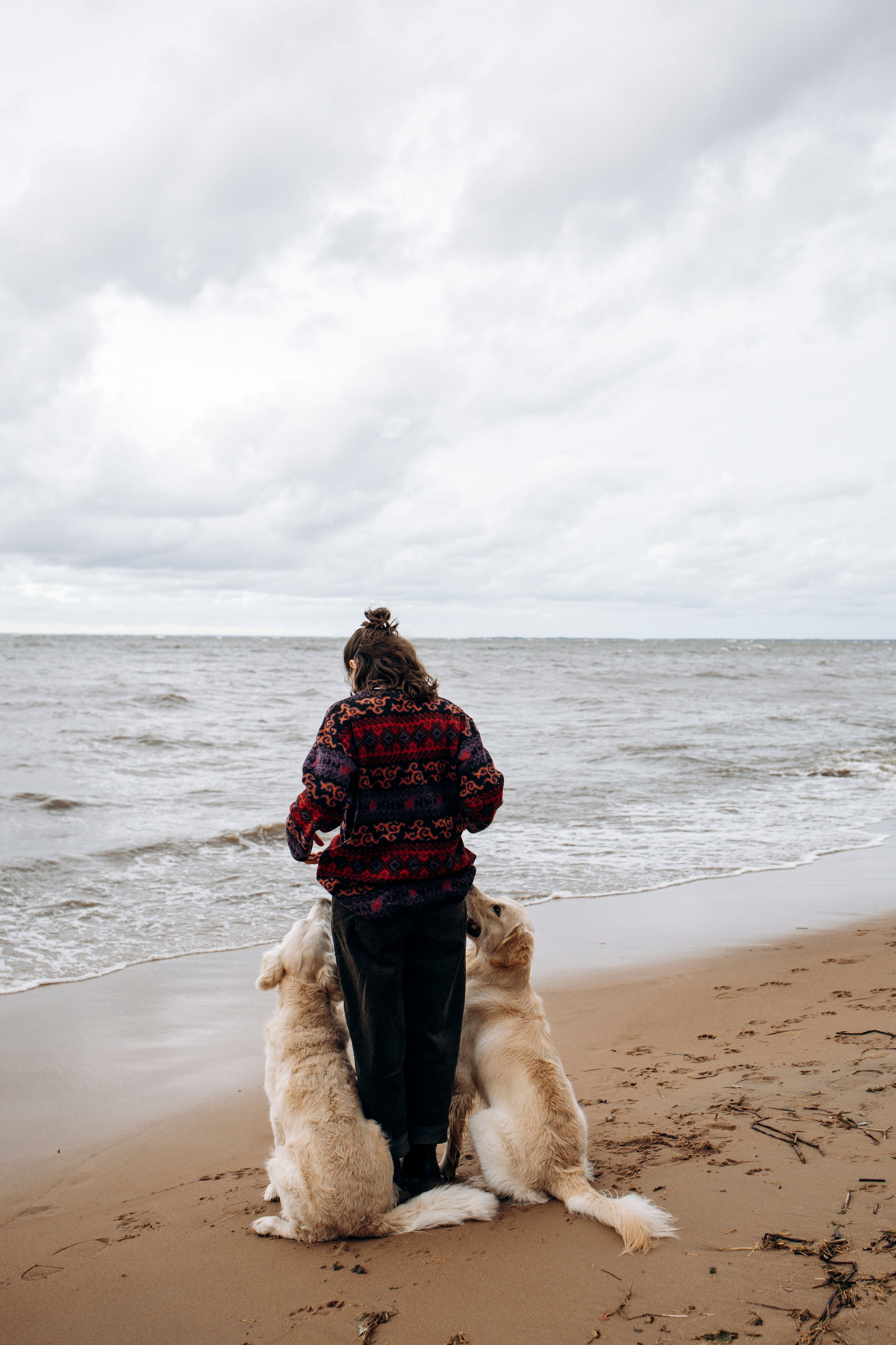 Прогулка Насти с Арчи и Арагоном. Фотограф-анималист в Санкт-Петеребурге Титова Алиса