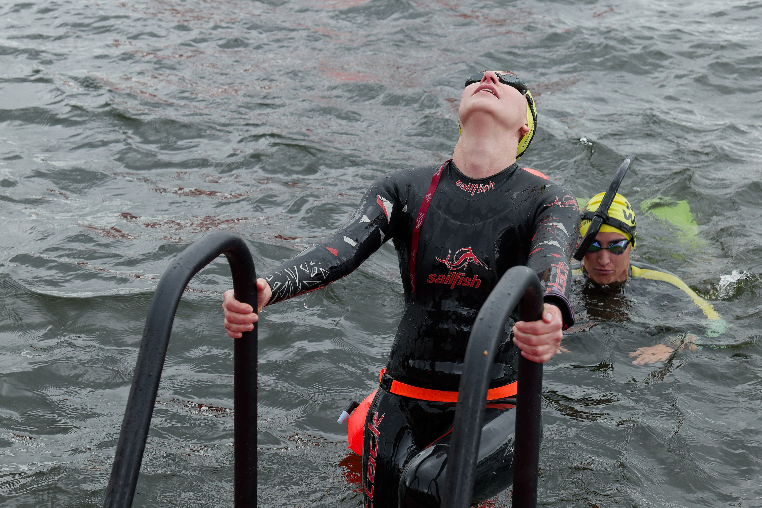 Галерея. Главная