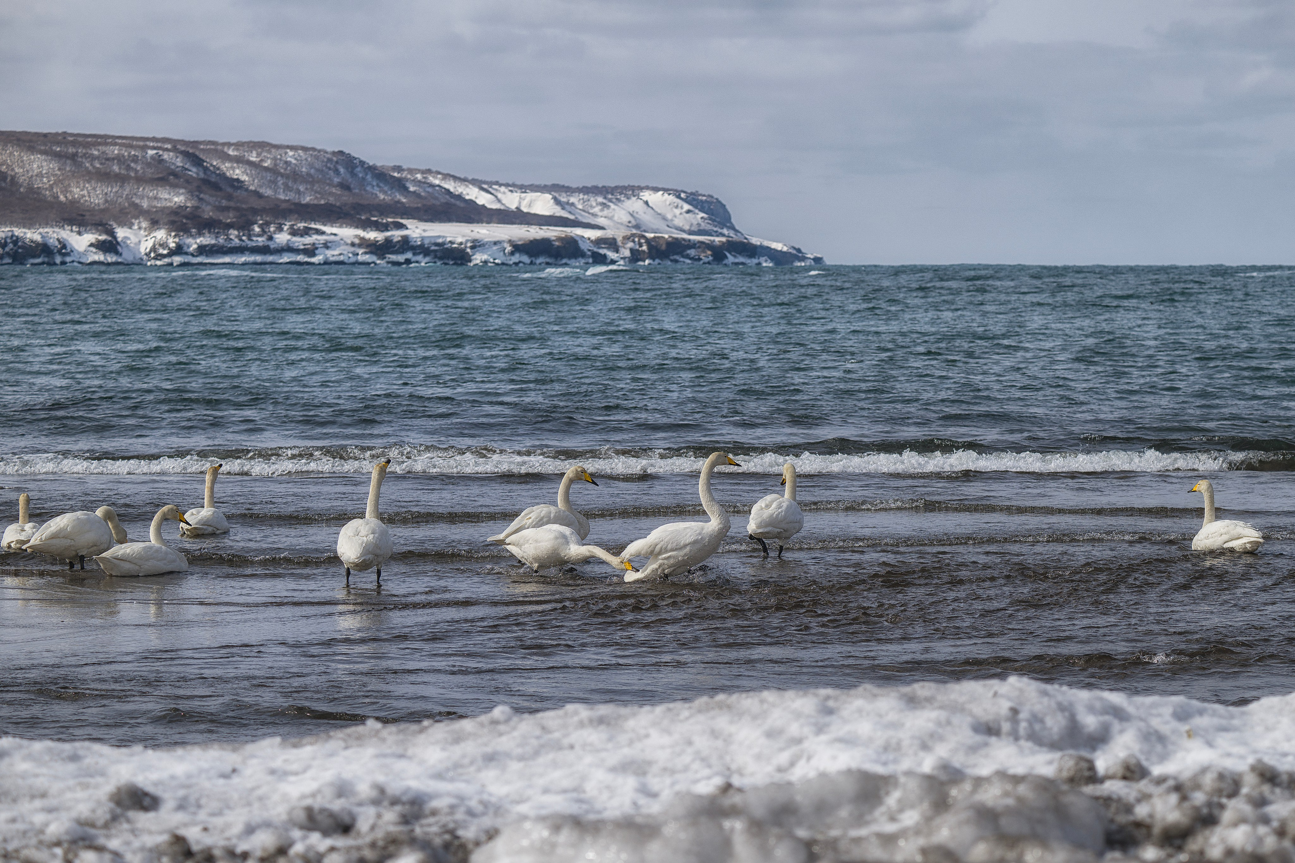 Курильские острова. Портретный фотограф в Челябинске Катерина Руди