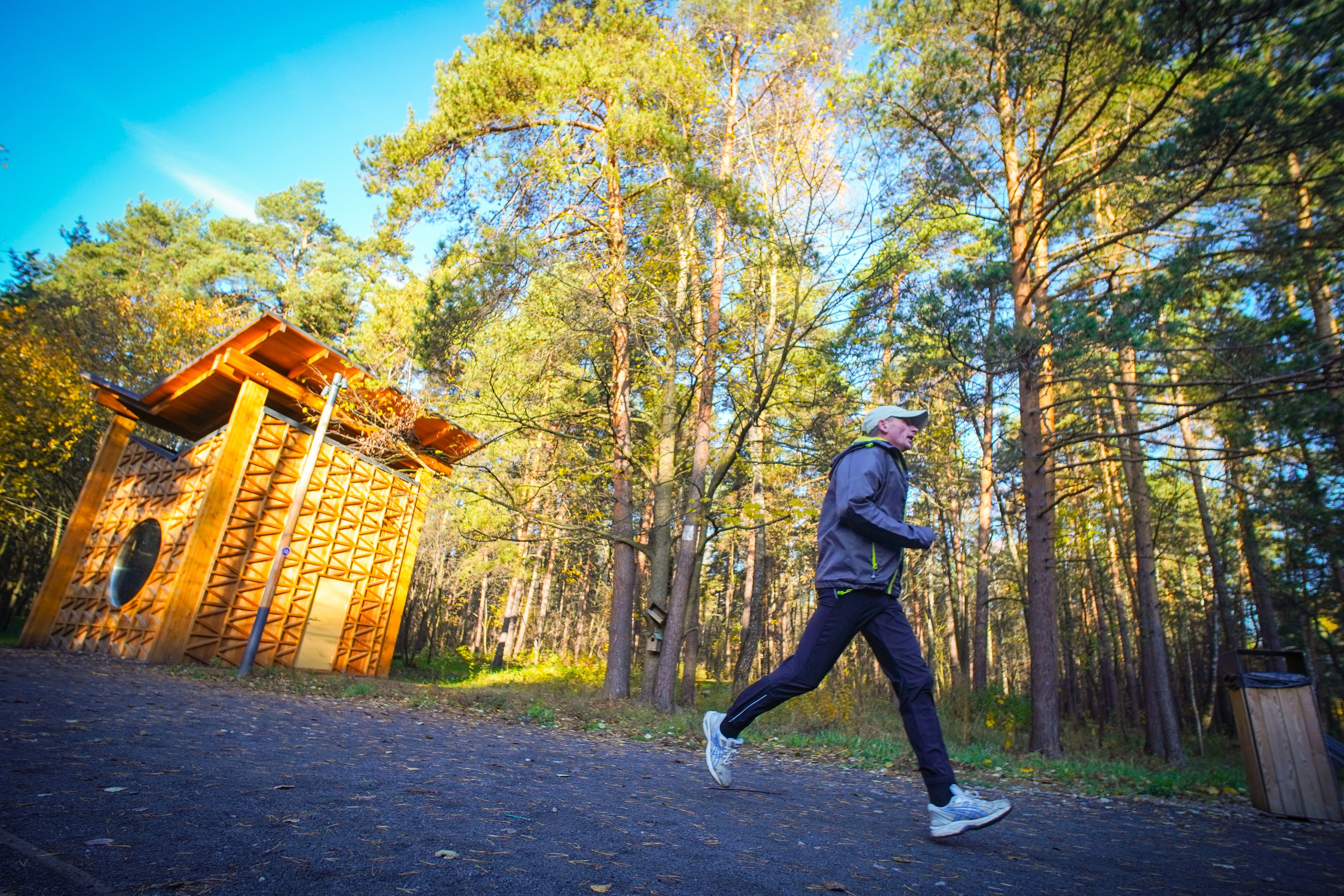 5 вёрст Томилинский 26 октября 2024. Роман Капилюшов. Бег. Фото. Видео. г. Люберцы