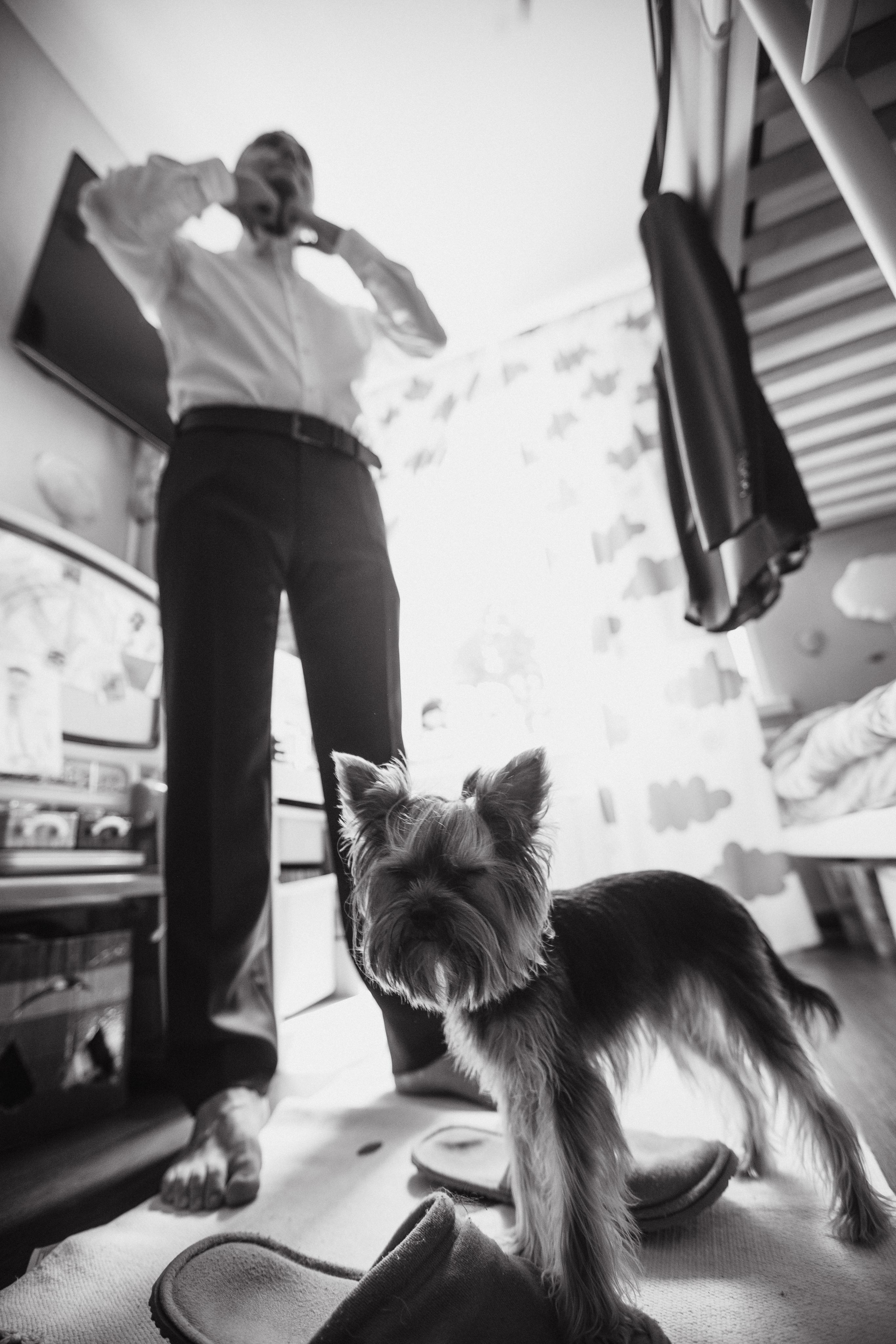 Дмитрий+Екатерина. Антон Ляпунов фотограф Вашего события в Москве