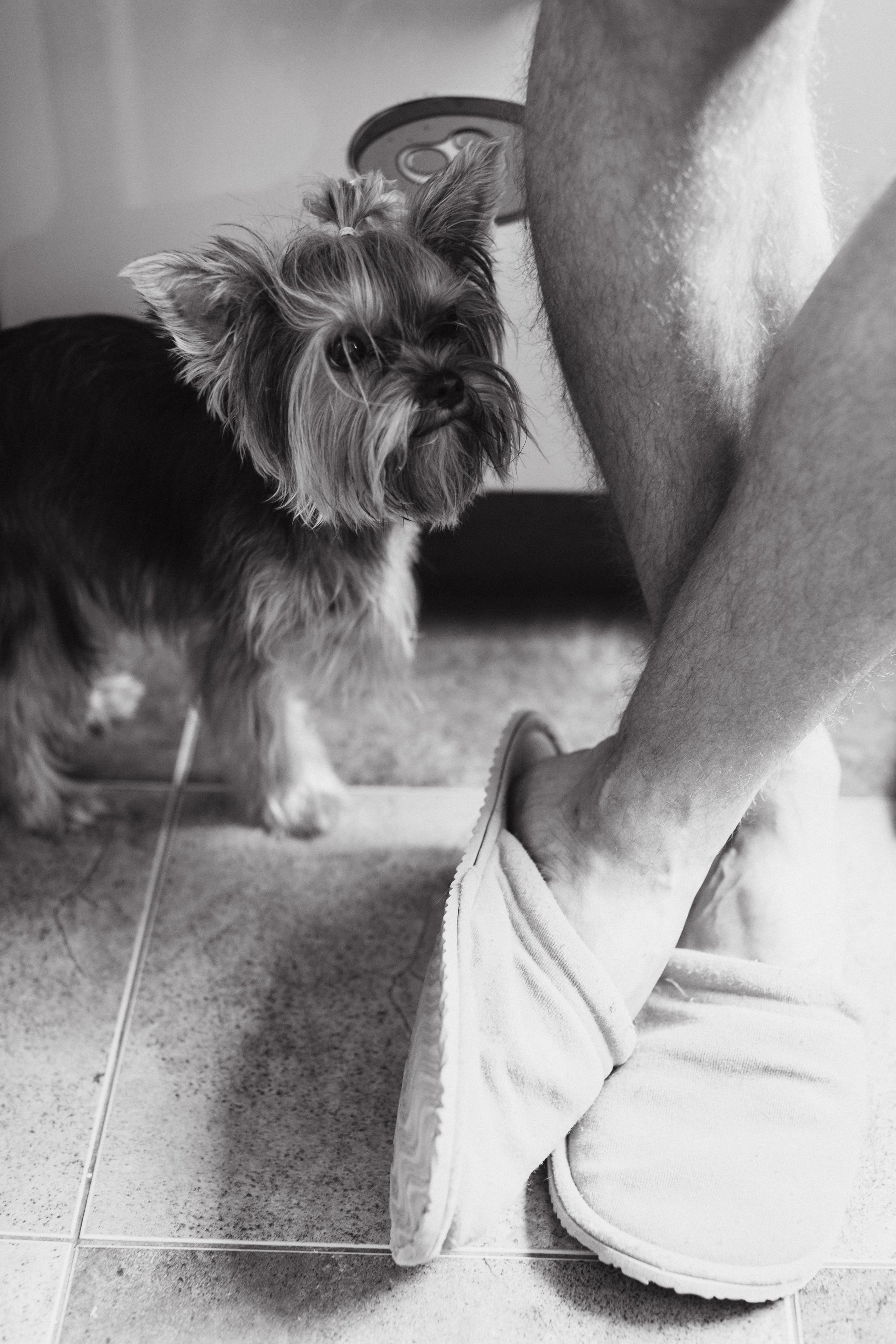 Дмитрий+Екатерина. Антон Ляпунов фотограф Вашего события в Москве