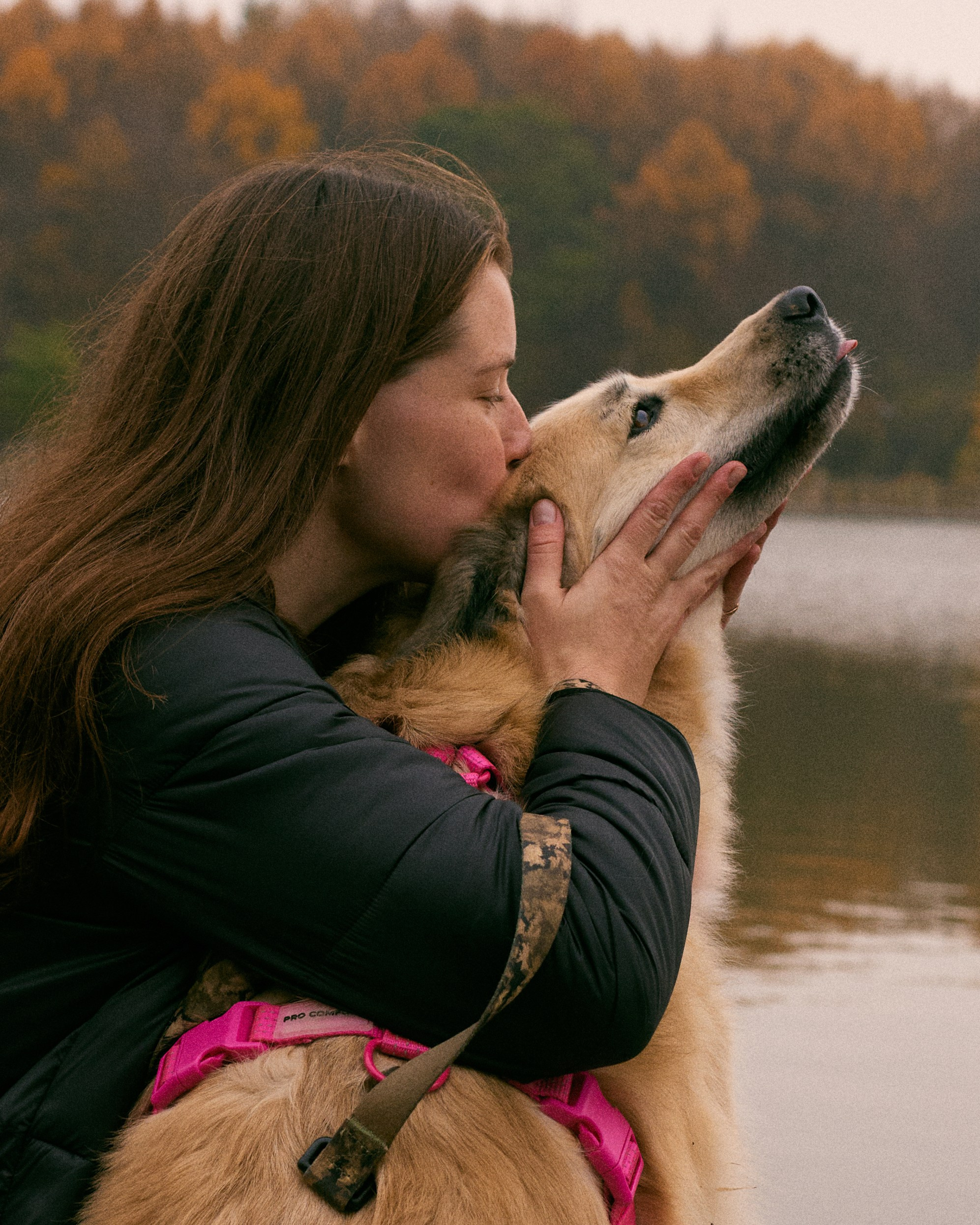 С животными. Главная