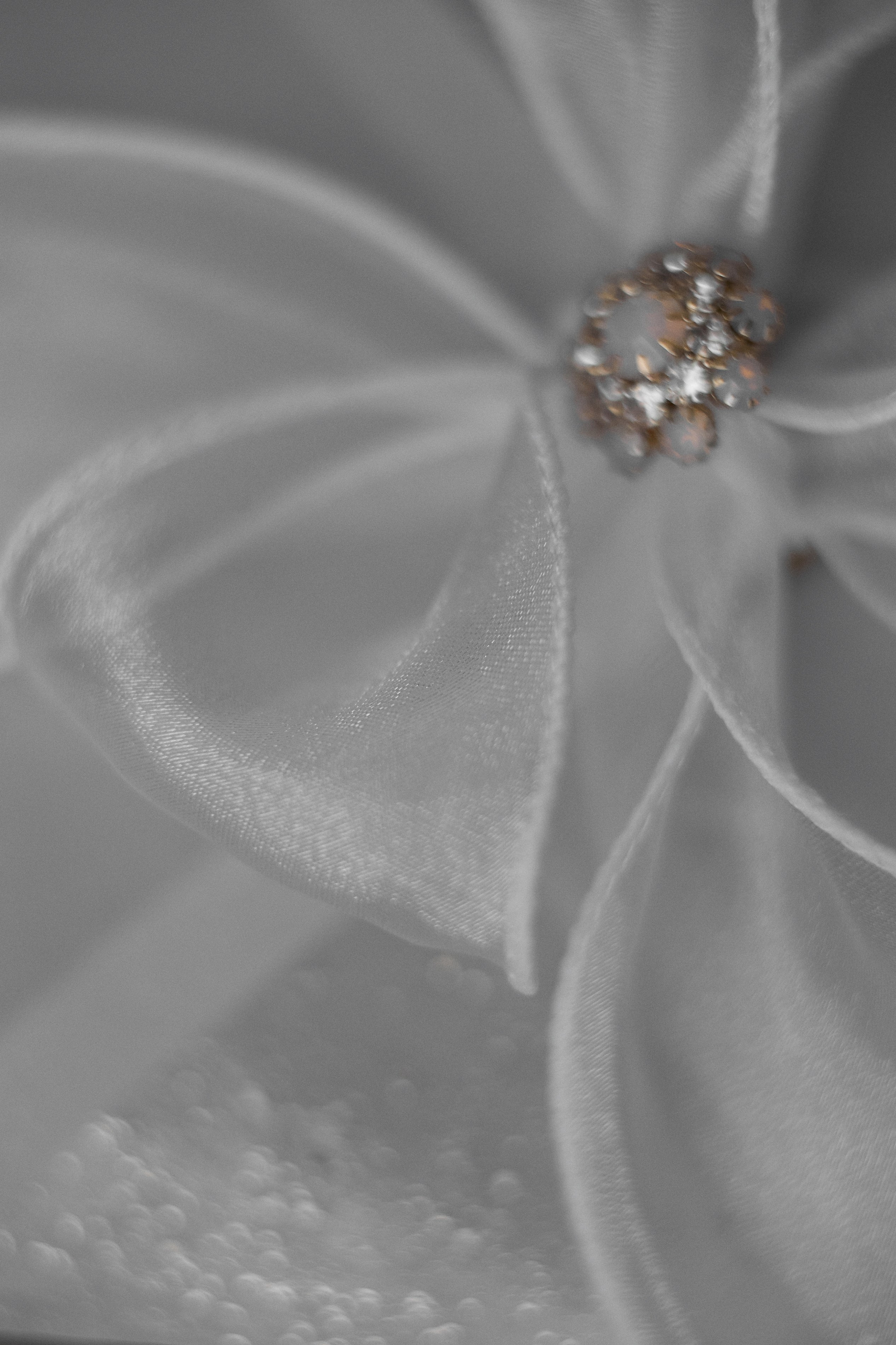 Катя и Витя. Свадебный фотограф Москва Калуга