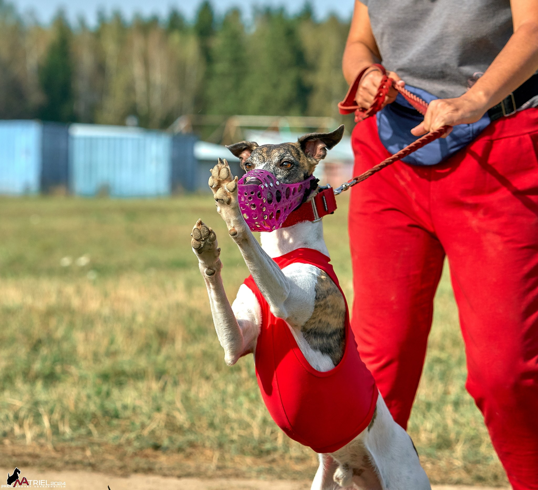 Курсинг в Иволге