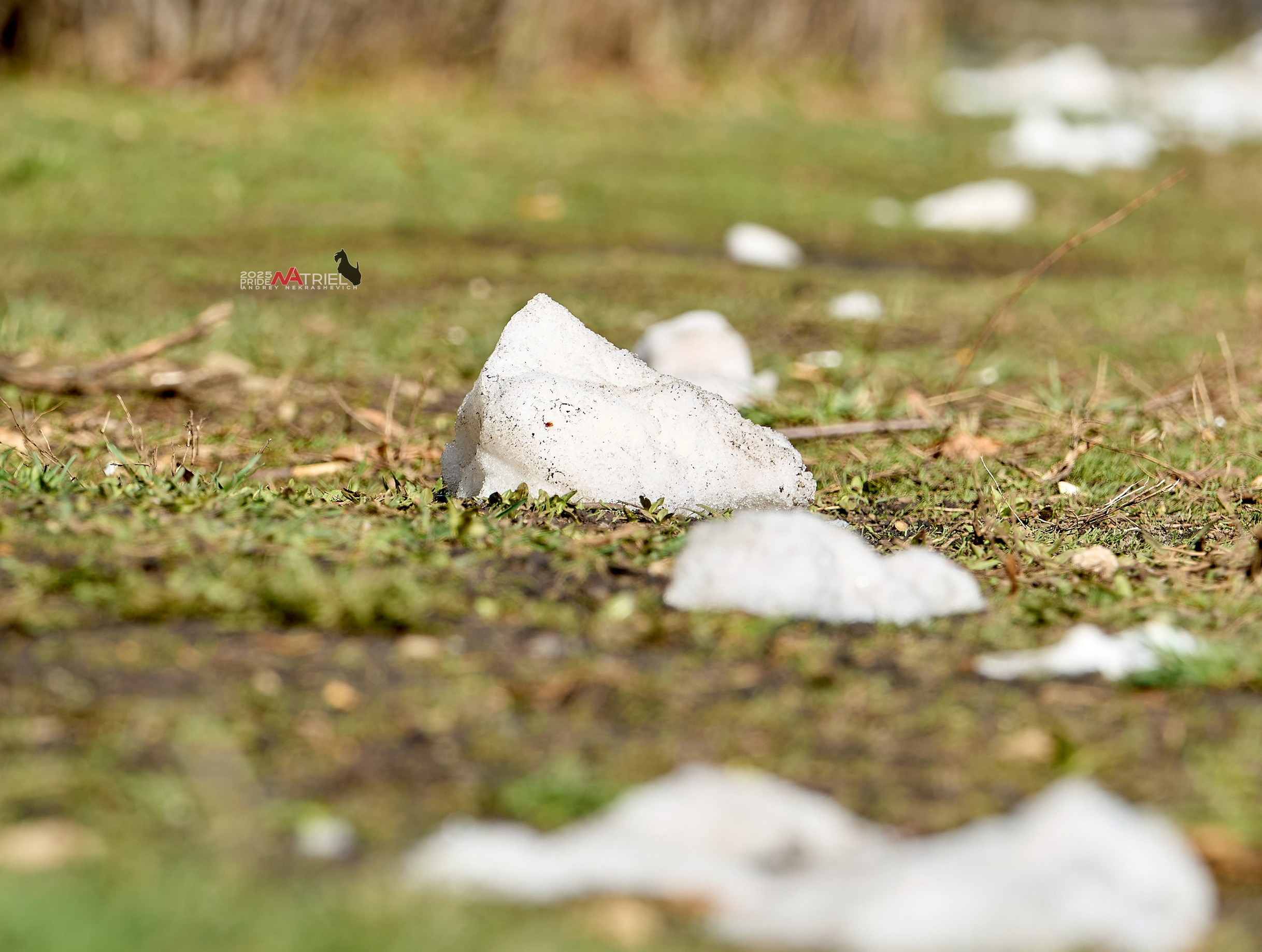 Природа в апреле