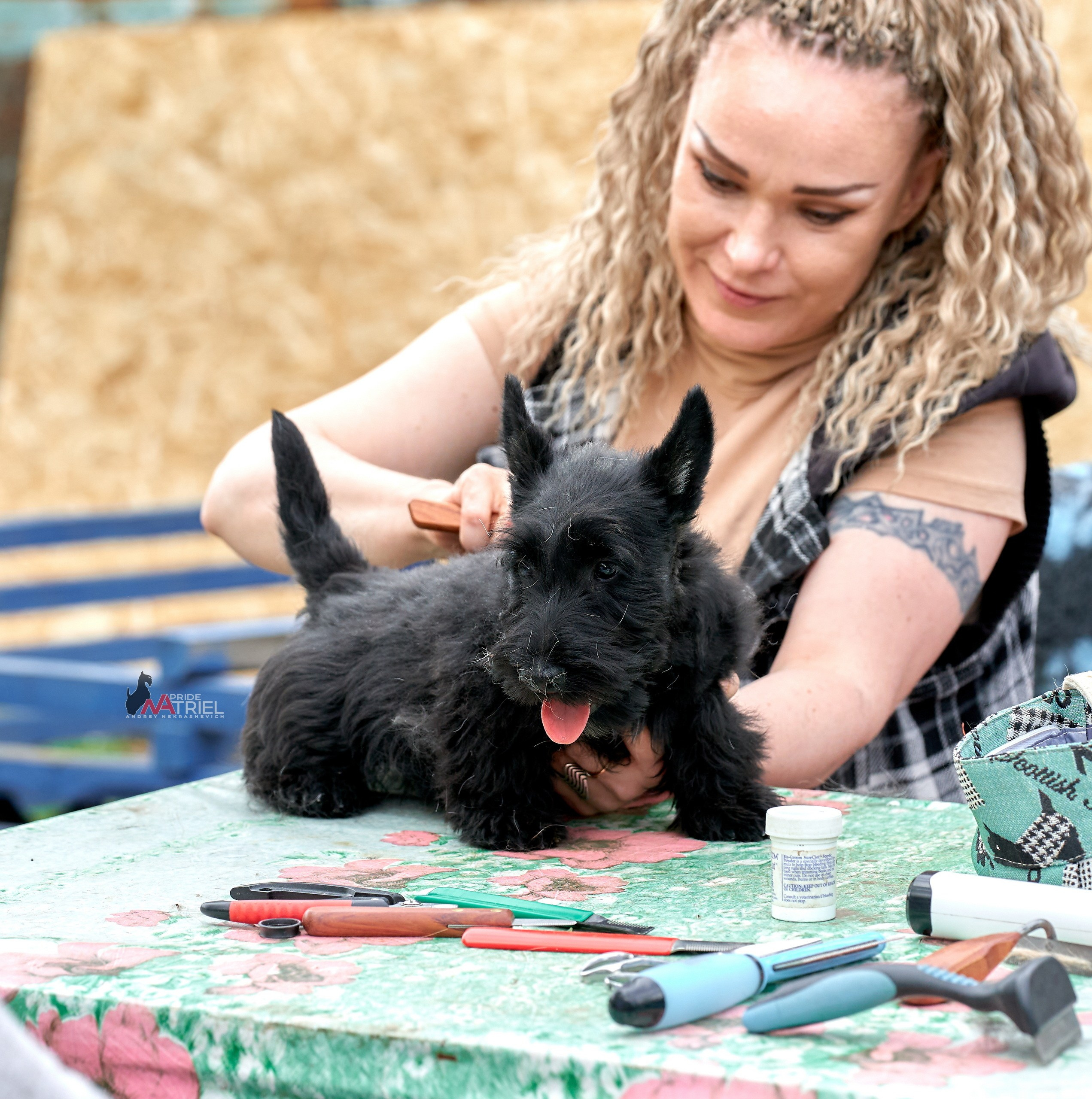 Щенки с людьми — галерея NATRIEL