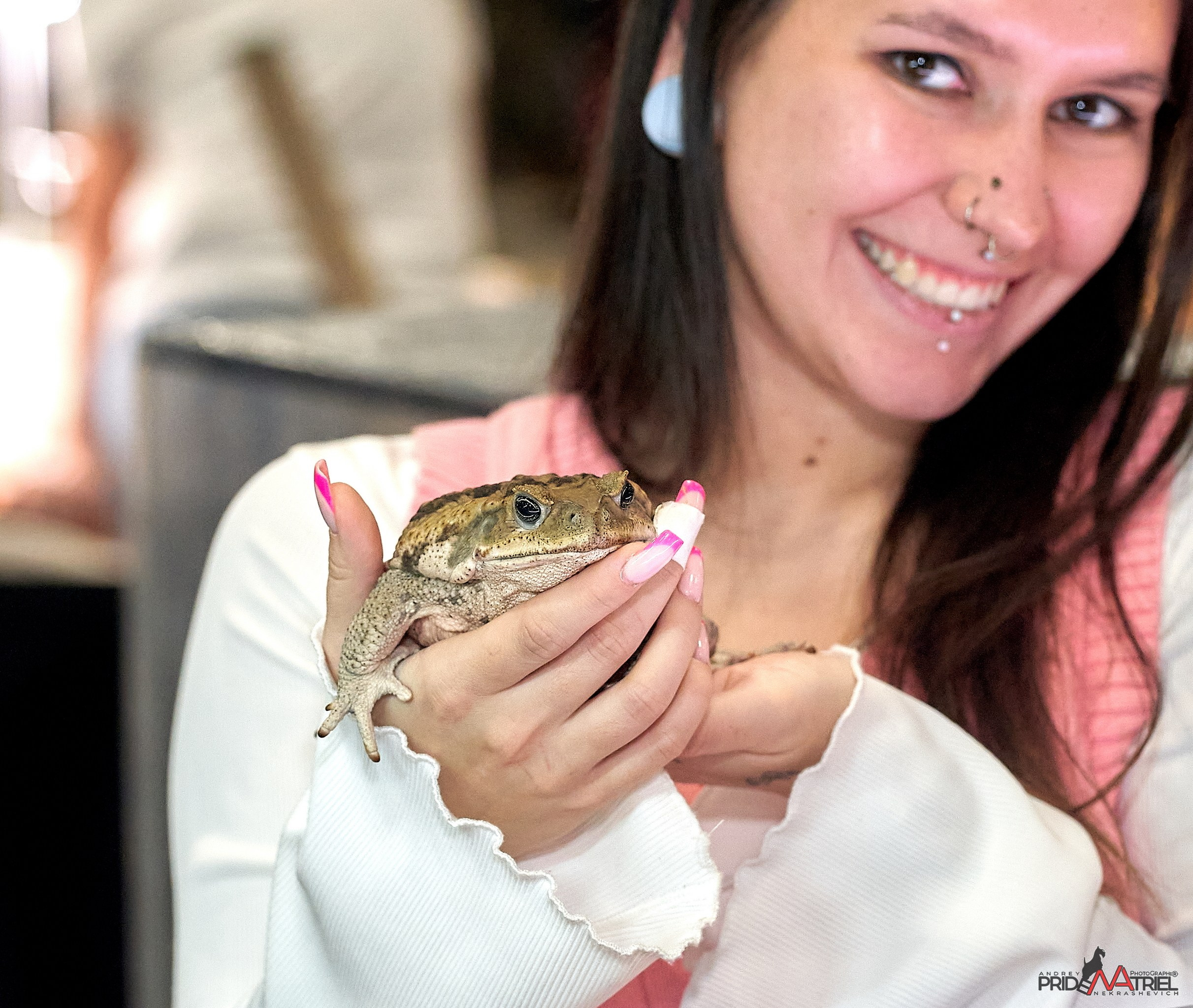 Выставки животных — галерея NATRIEL