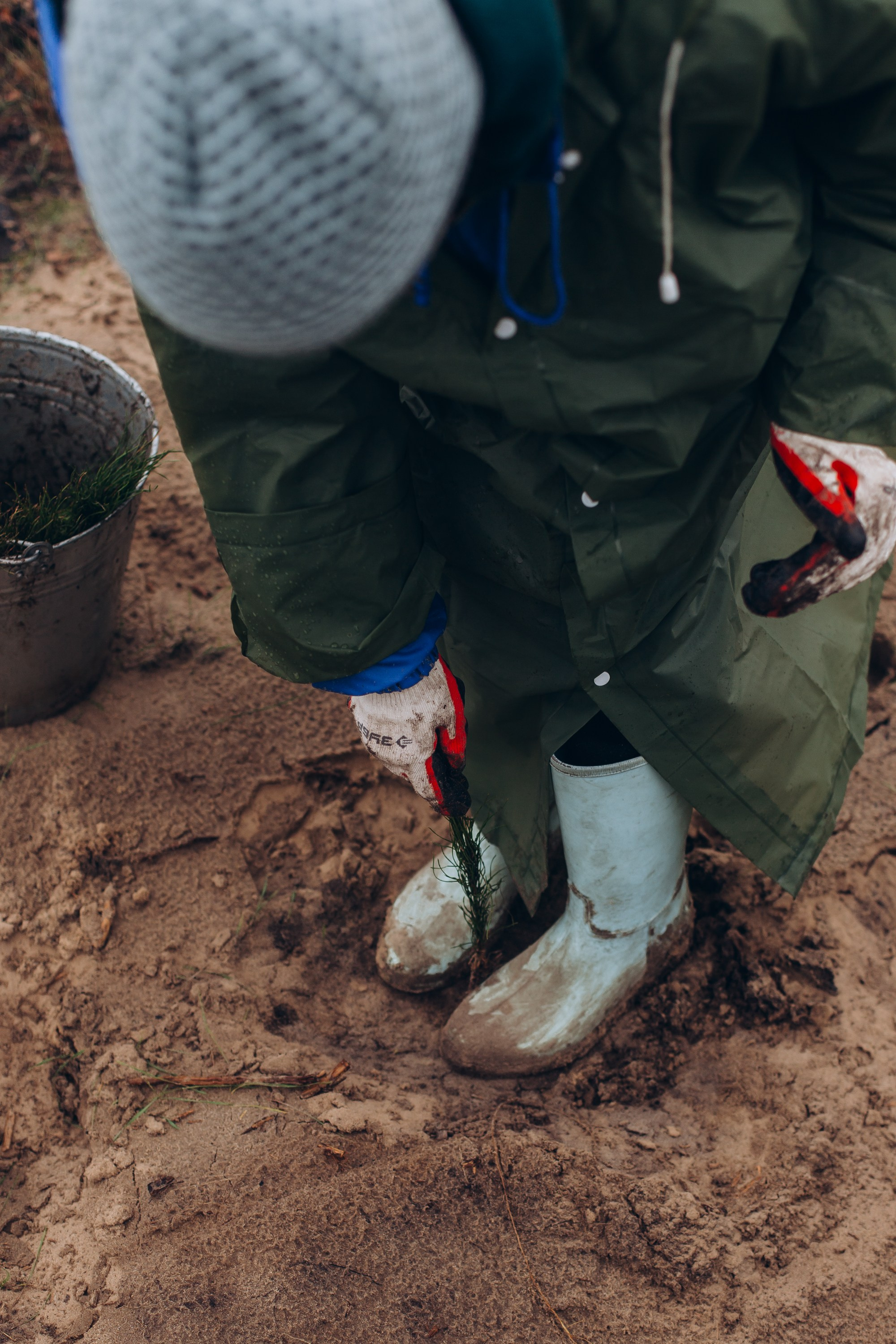 Посадка деревьев в Усть-Донецком районе. Артём Панфилов — Свадебный и семейный фотограф в Ростове-на-Дону