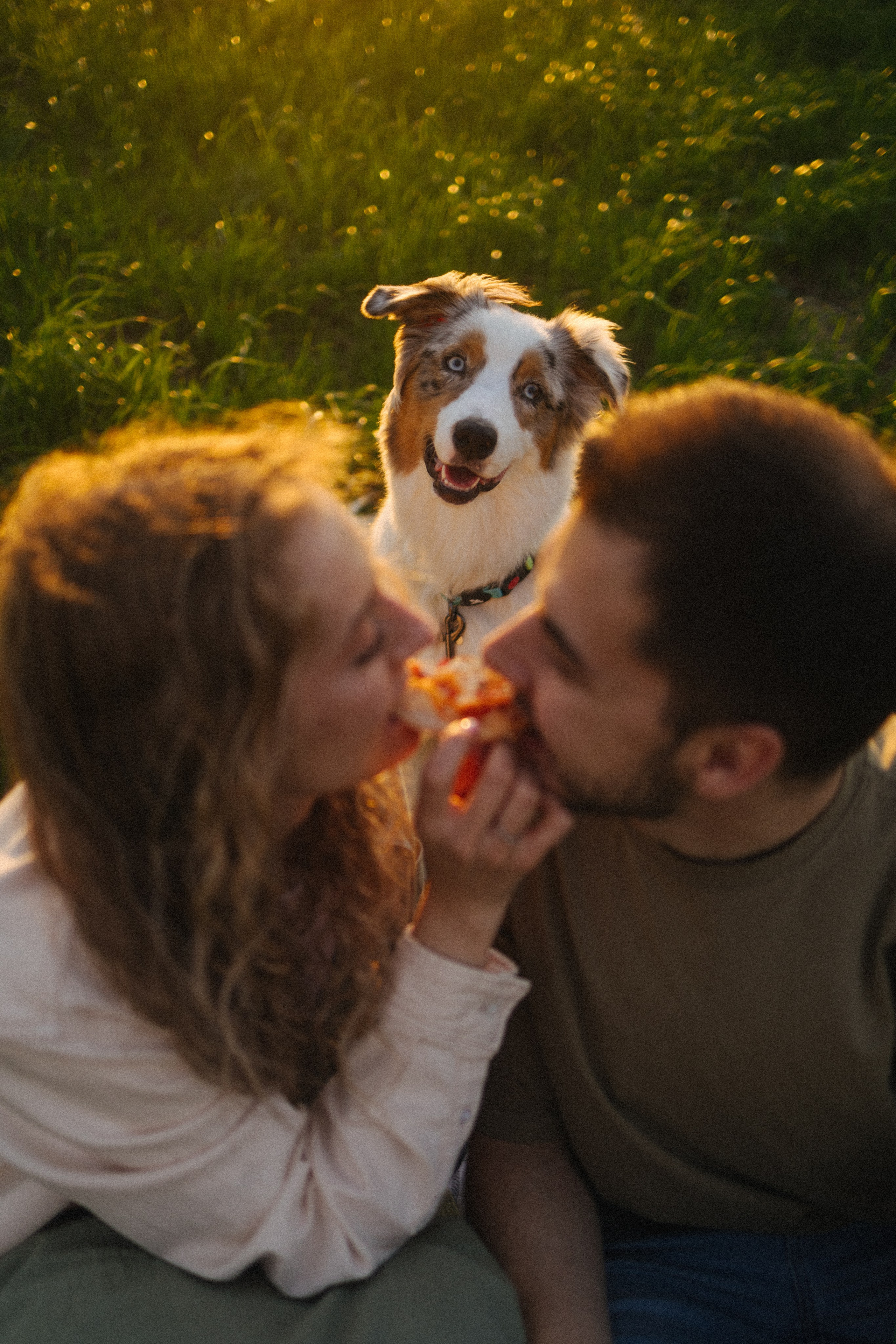 Настя, Влад и Лэйк. Фотораф — анималист Мария Шистка