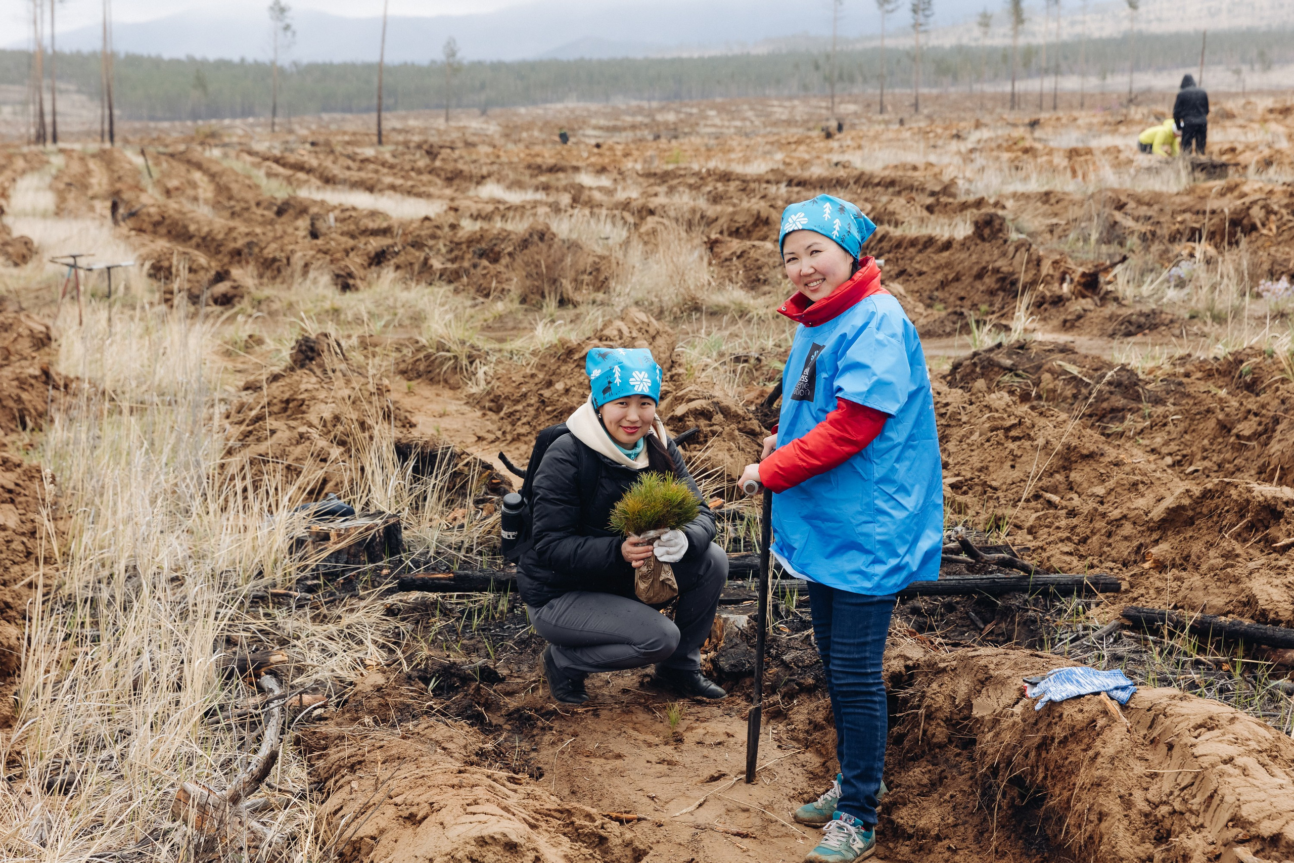 Siberian wellness. Ежегодная акция по посадке деревьев. Свадебный и семейный фотограф в Улан-Удэ