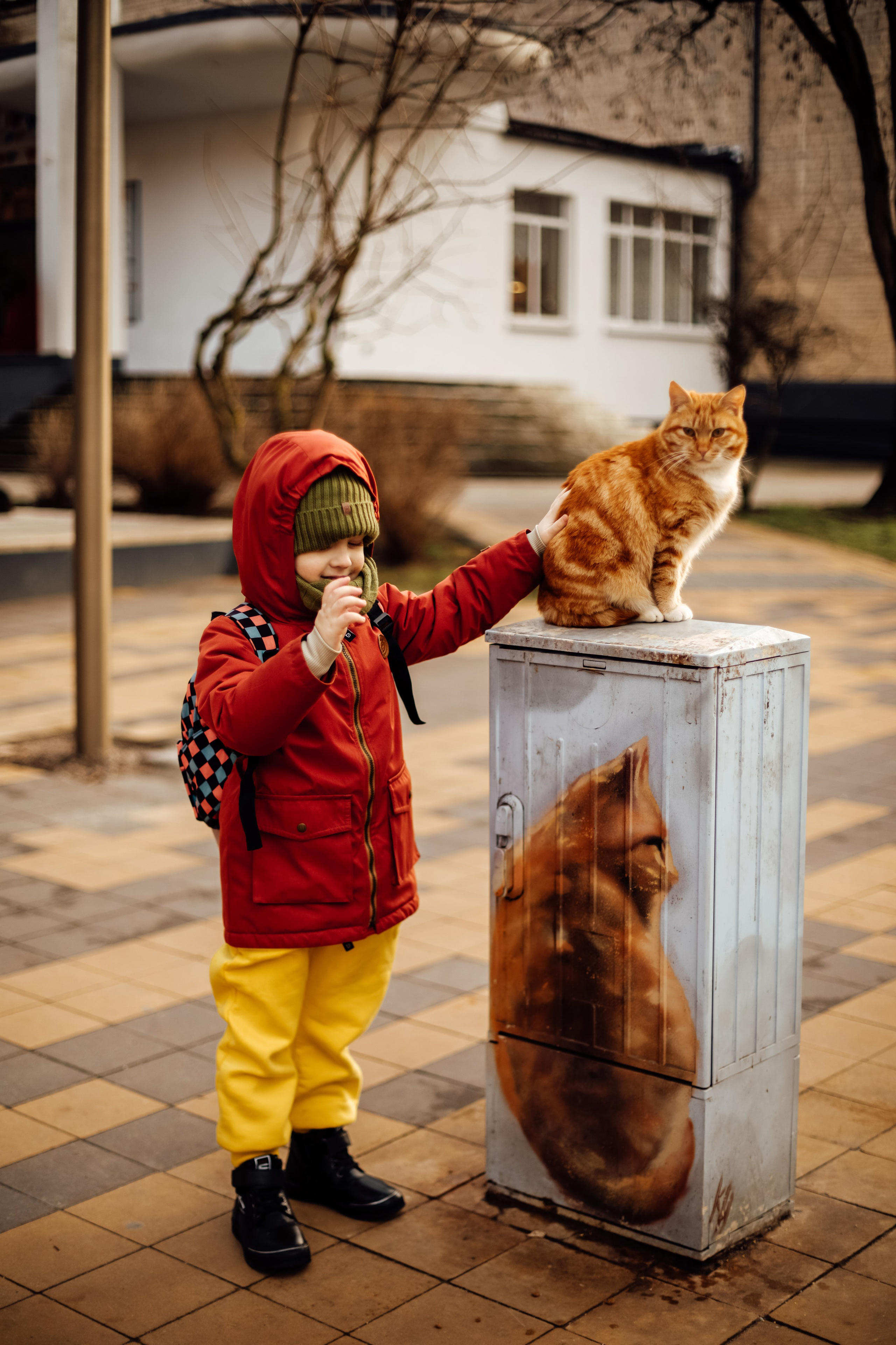 Зеленоградск. Https://malovafoto.ru
