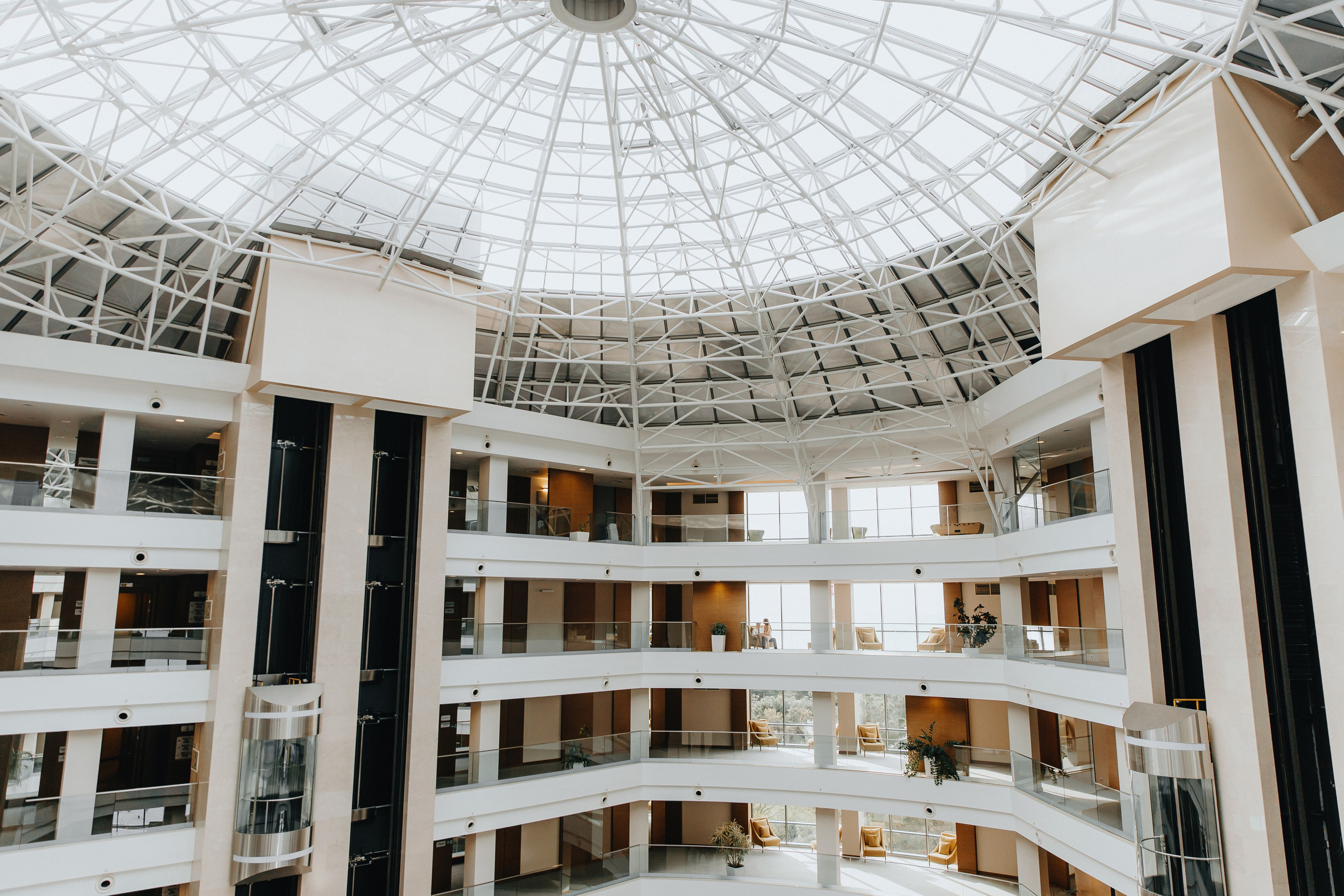 Саша и Миша. Свадебный фотограф и видеограф Когай Дмитрий и Юлия