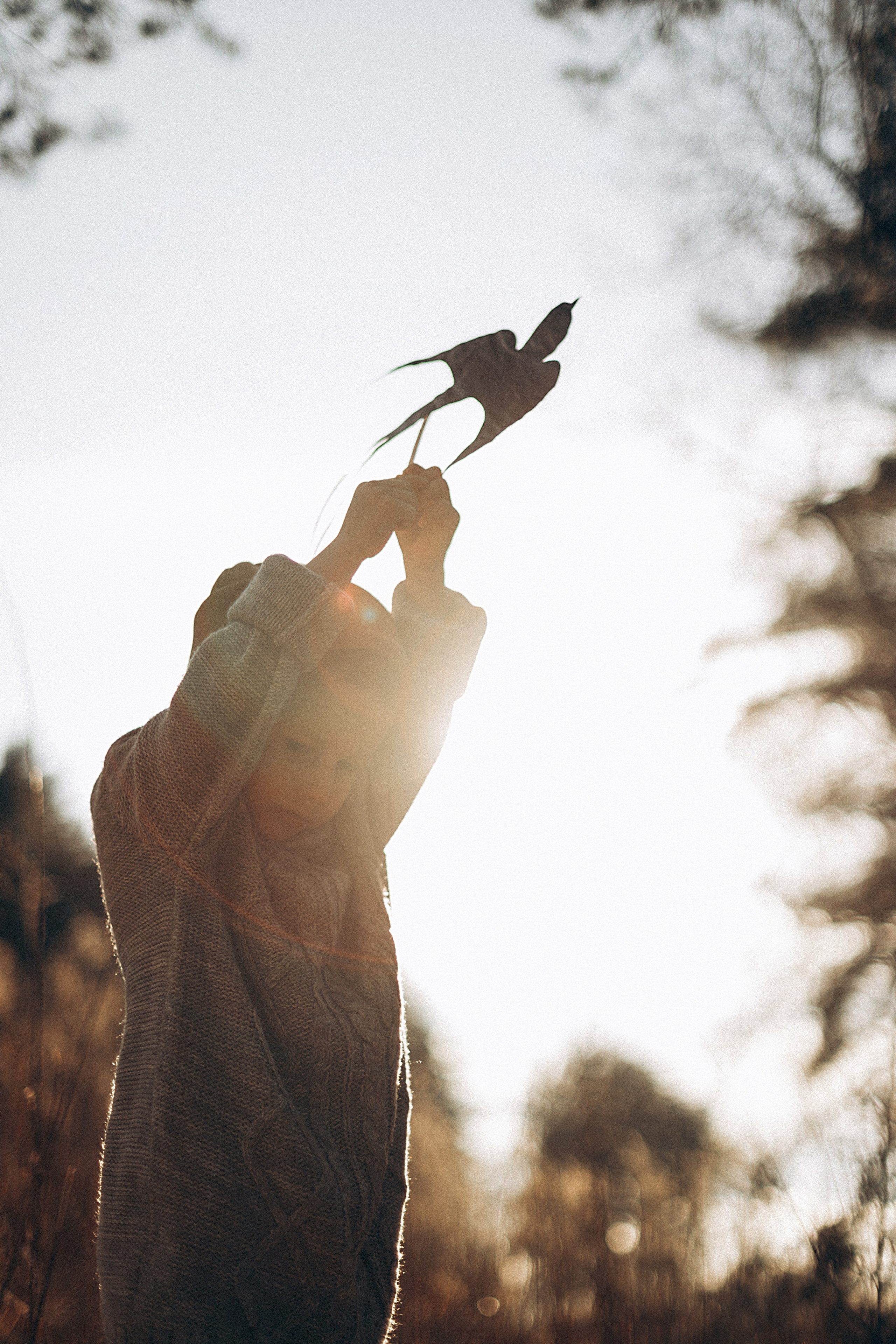 Птицы-самолеты. Репортажный и детский фотограф в Минске