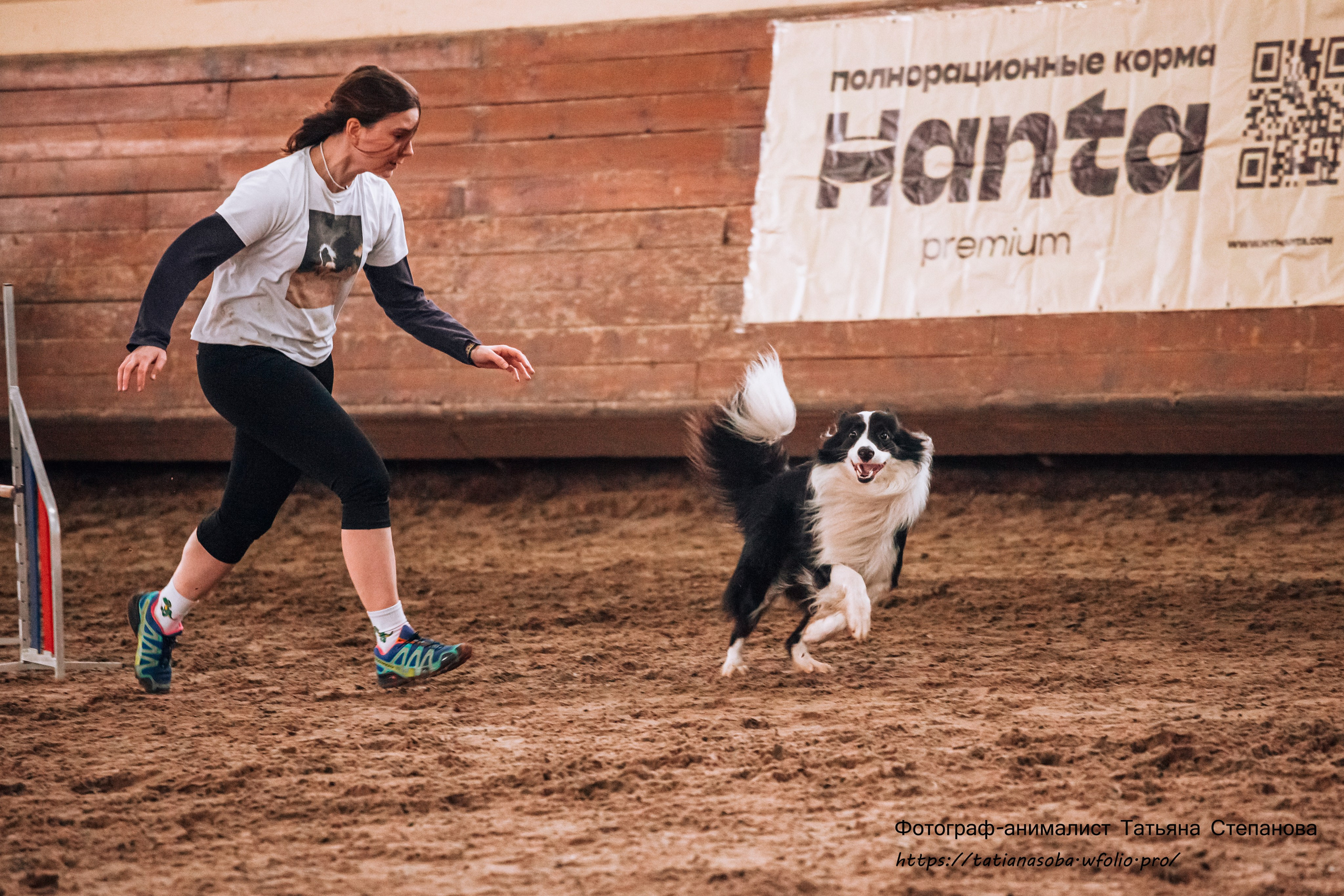 Соревнования по Аджилити 25.02.2024. Фотограф-анималист Татьяна Степанова