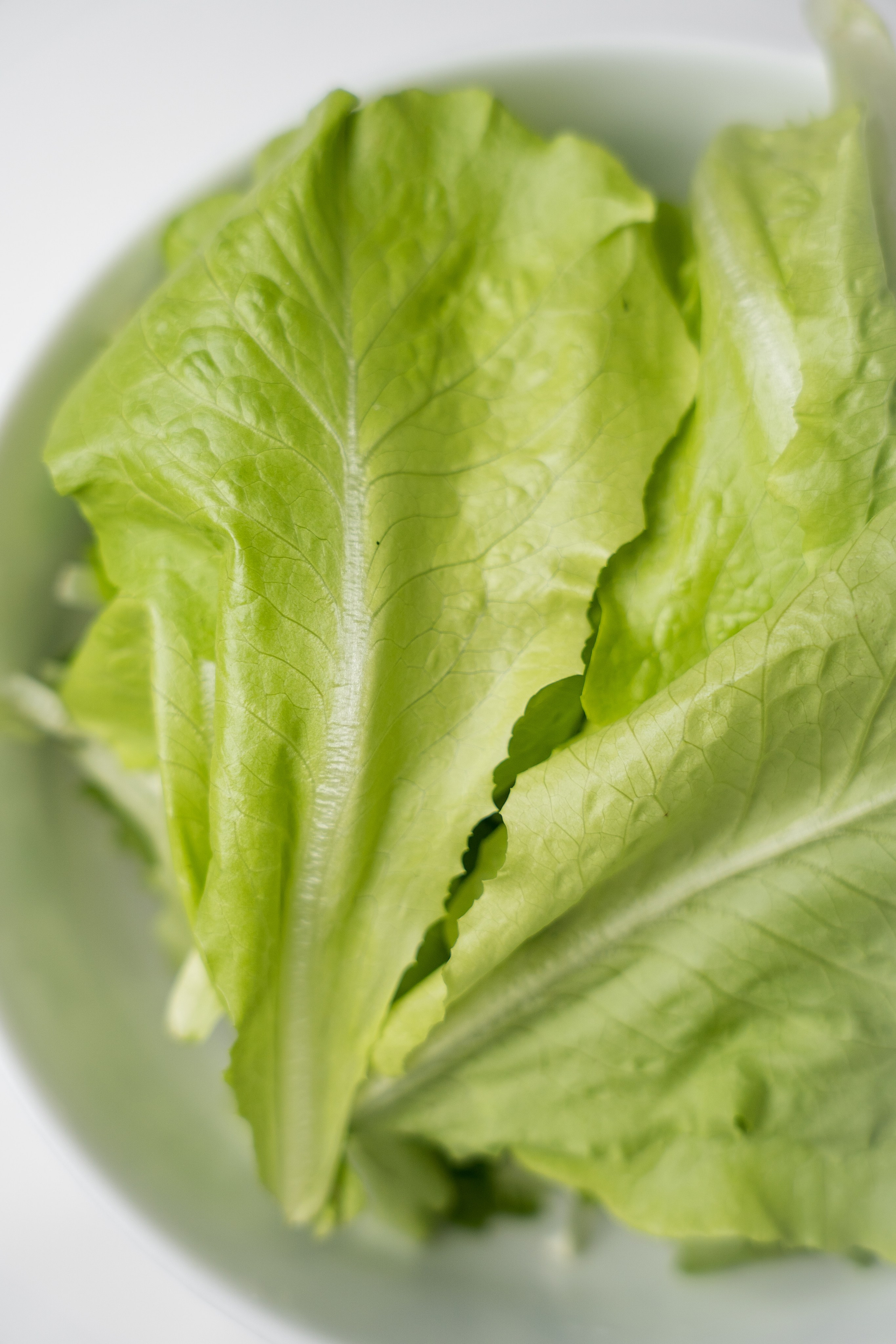 «ЧУДЕСНАЯ ЖИЗНЬ». Фотограф в Москве Казакова Анна